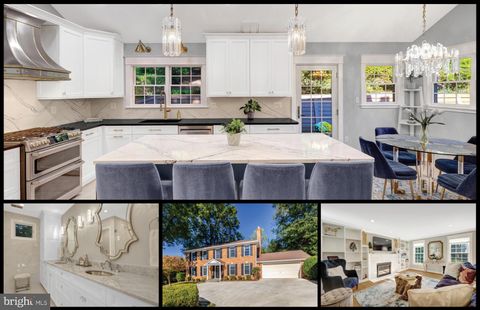1419 CLAVES COURT VIENNA VA 22182