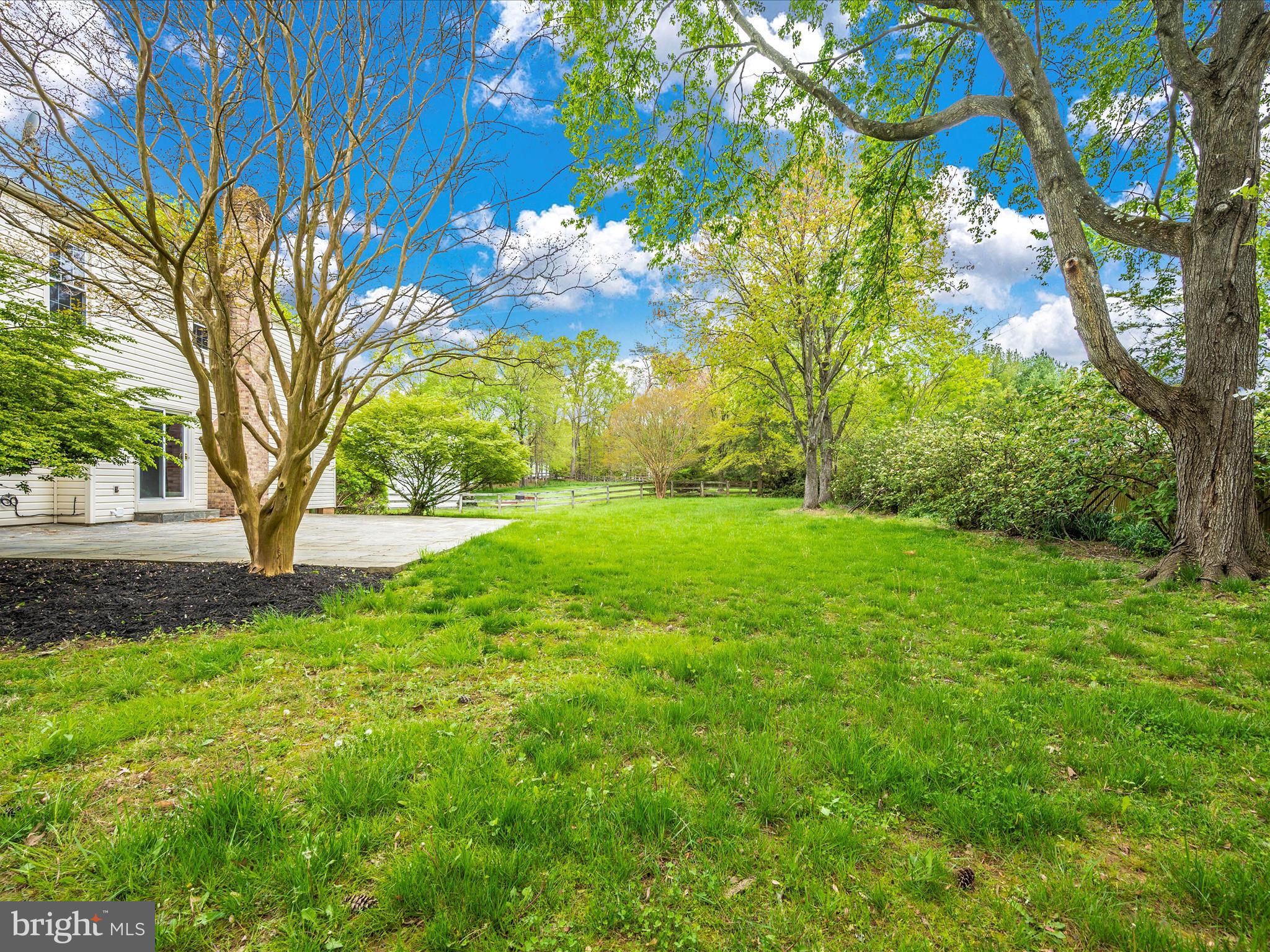 POTOMAC CHASE - Residential