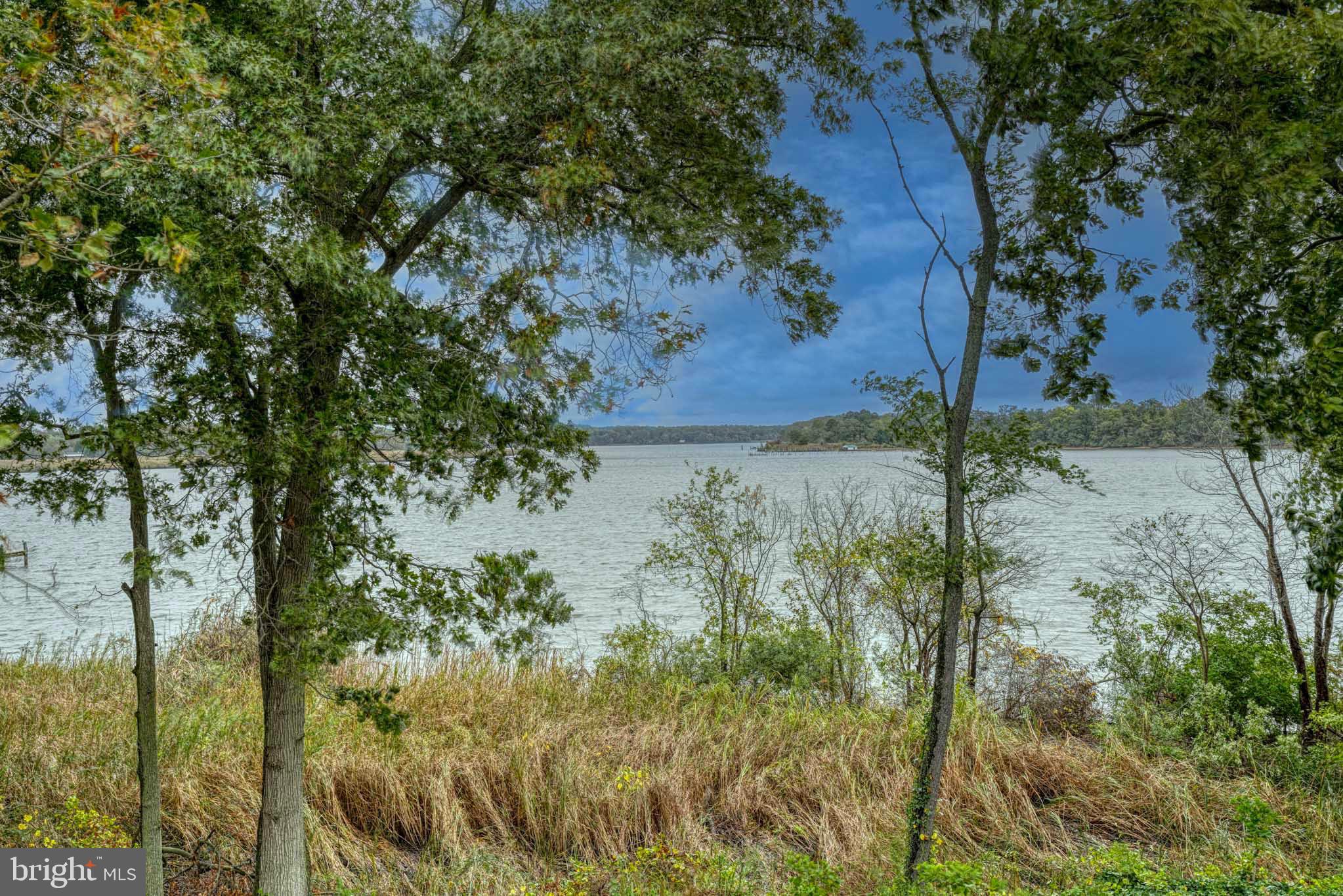 PEAR TREE POINT - Residential