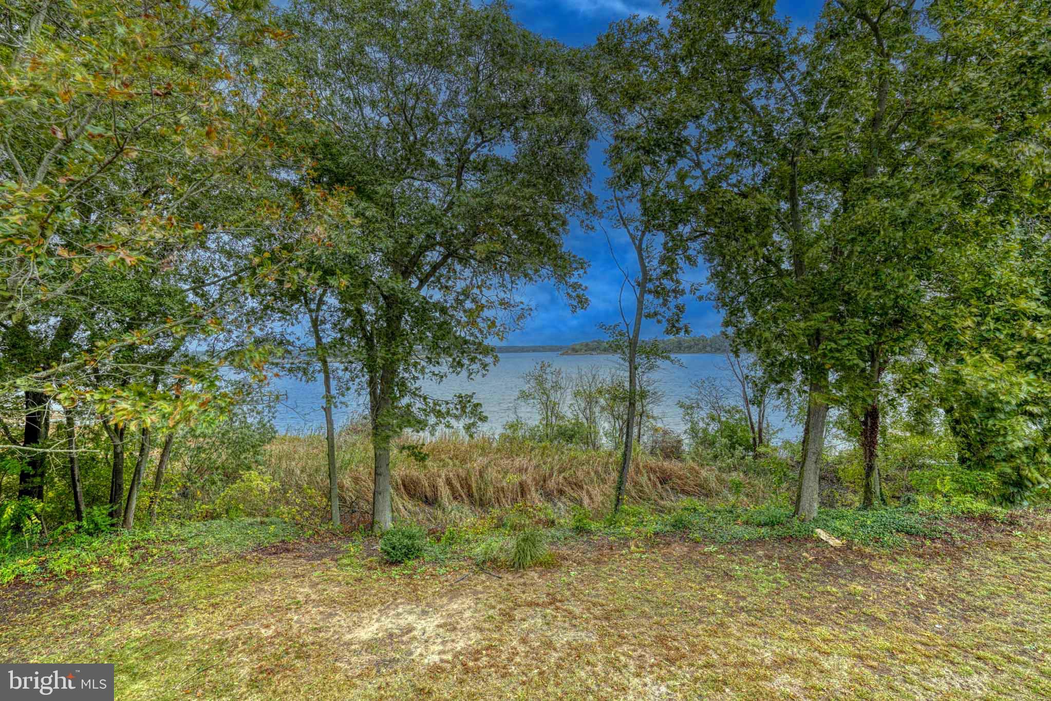 PEAR TREE POINT - Residential