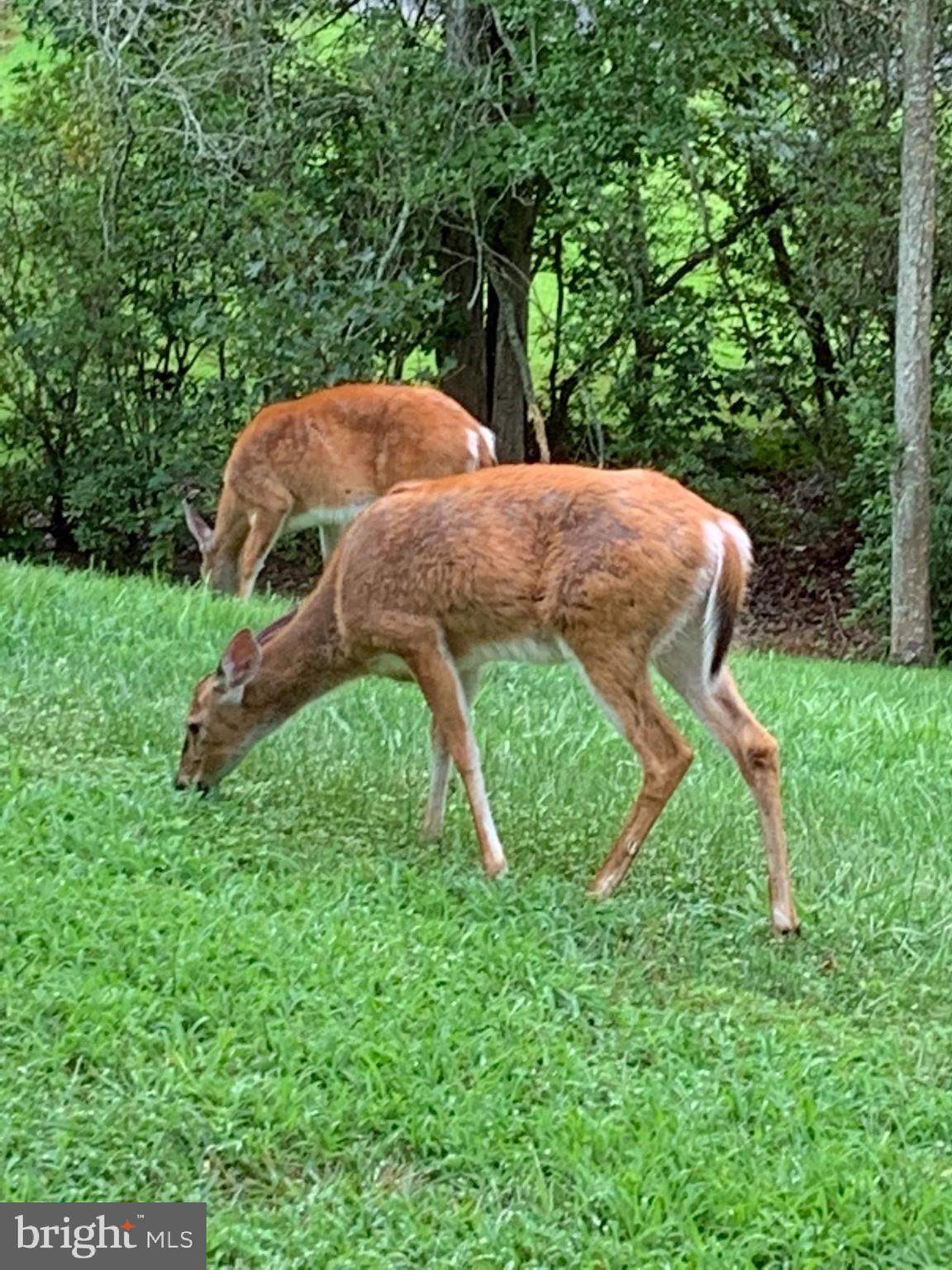 BROOKE RIDGE - Residential
