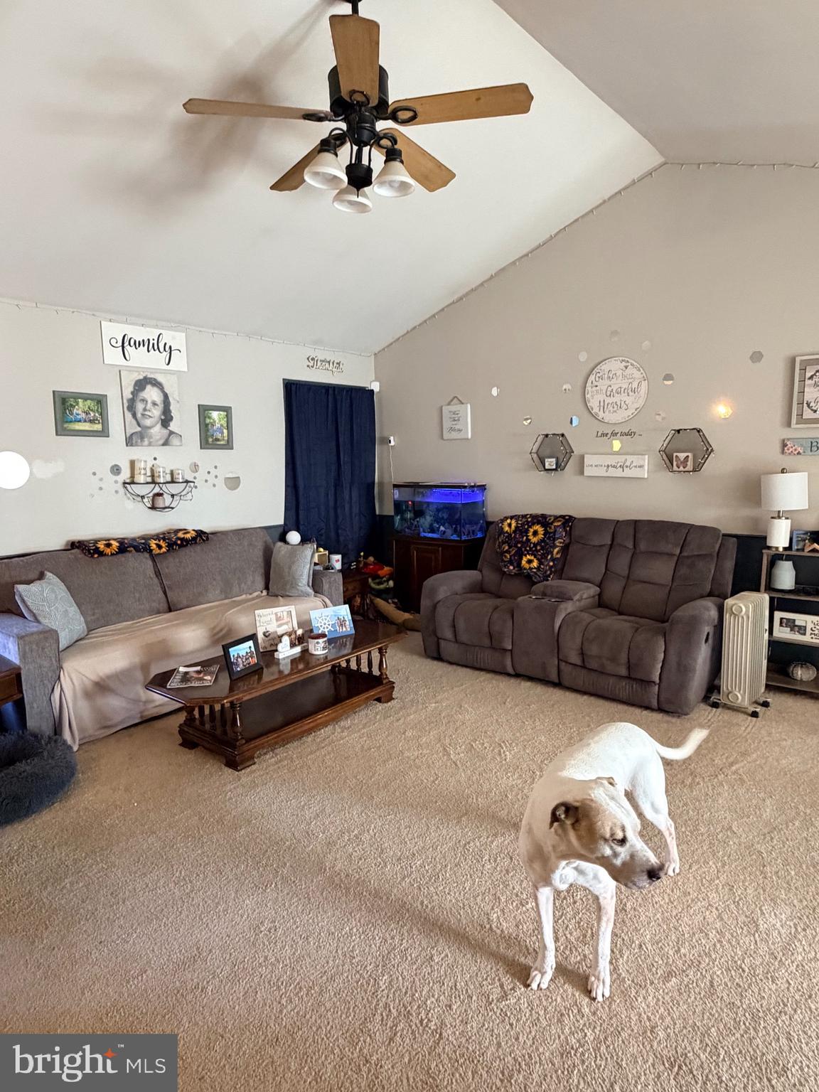 MILLS FARM - Residential