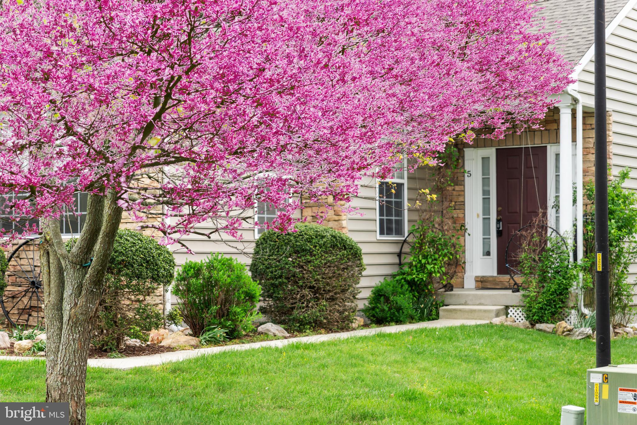 5 SAINT GEORGE STREET