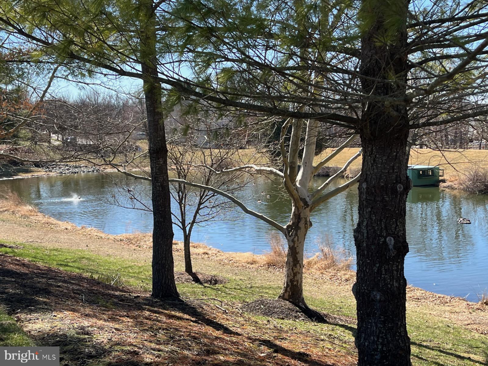 POTOMAC OAKS - Residential