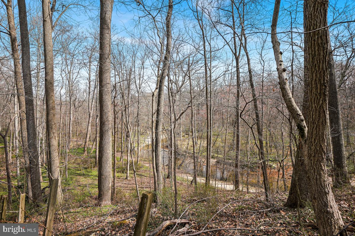 SPRINGBROOK FOREST - Residential