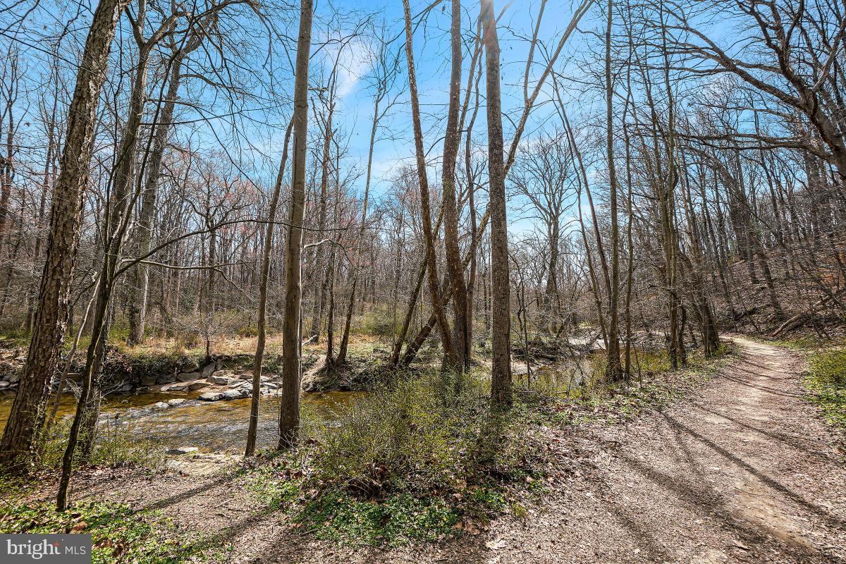 SPRINGBROOK FOREST - Residential