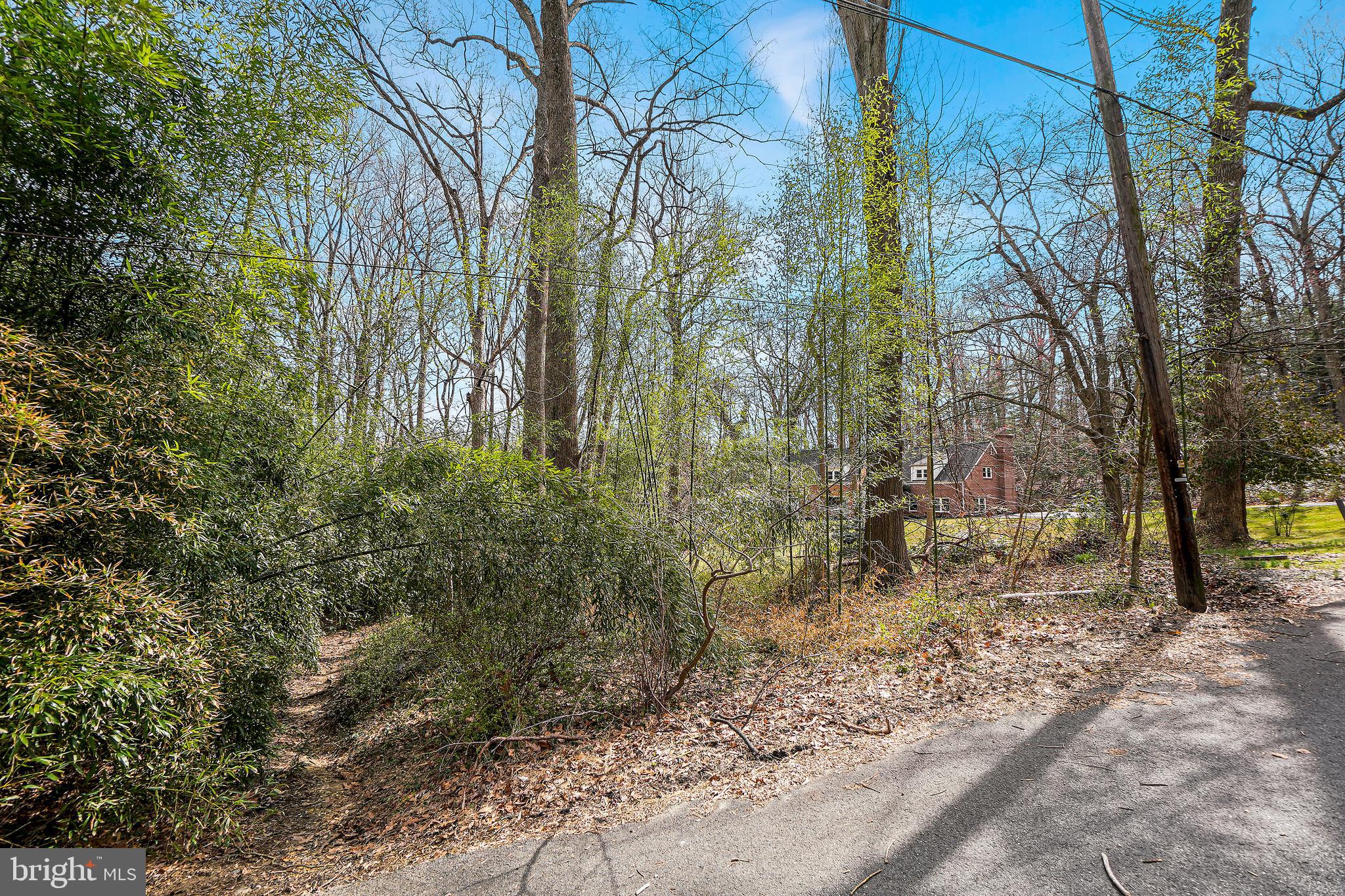 SPRINGBROOK FOREST - Residential