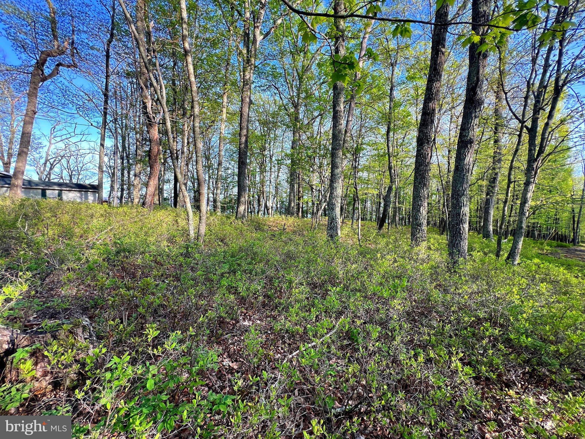 OLD FIELDS LIMITED PARTNERSHIP - Residential