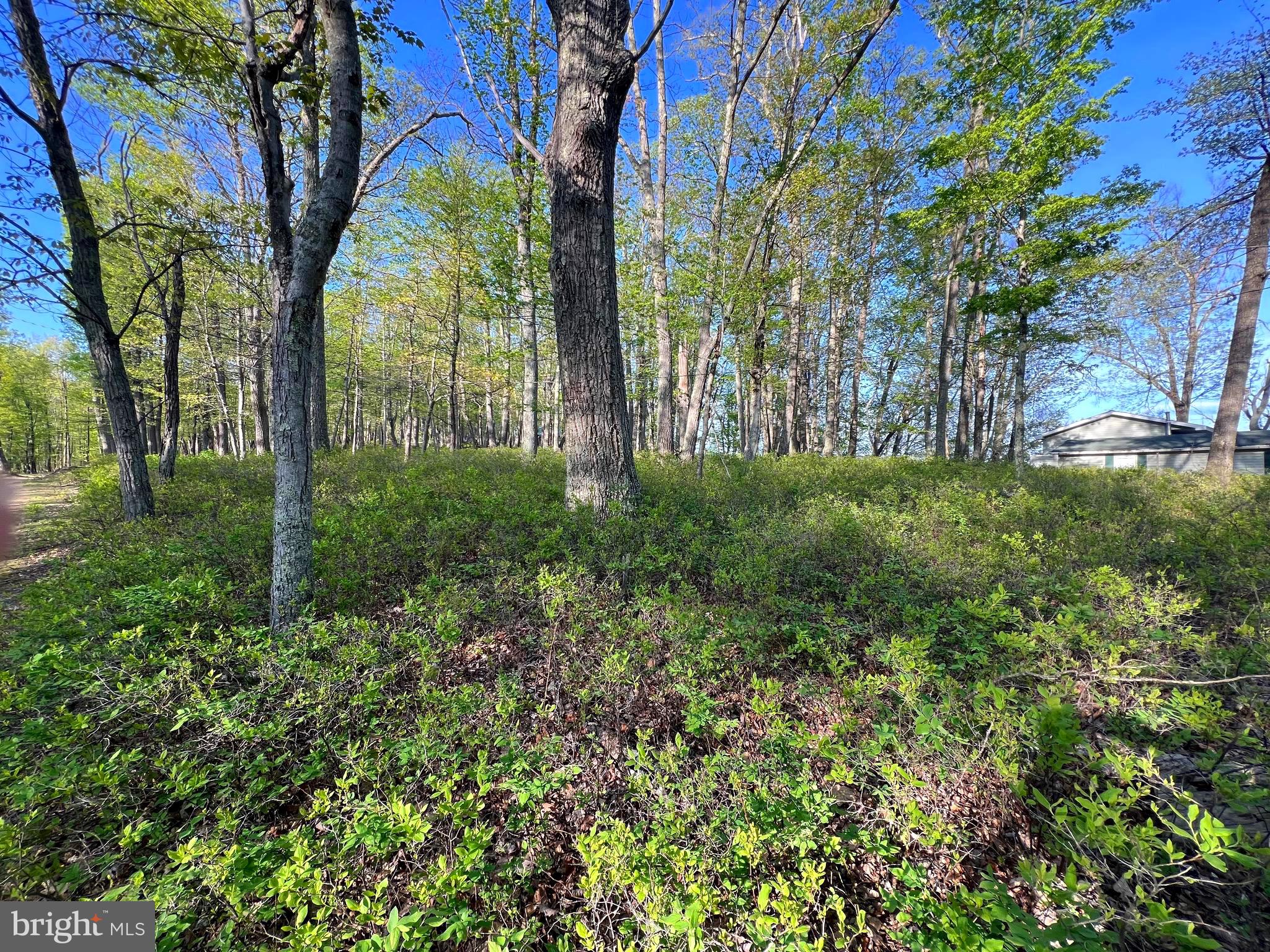 OLD FIELDS LIMITED PARTNERSHIP - Residential