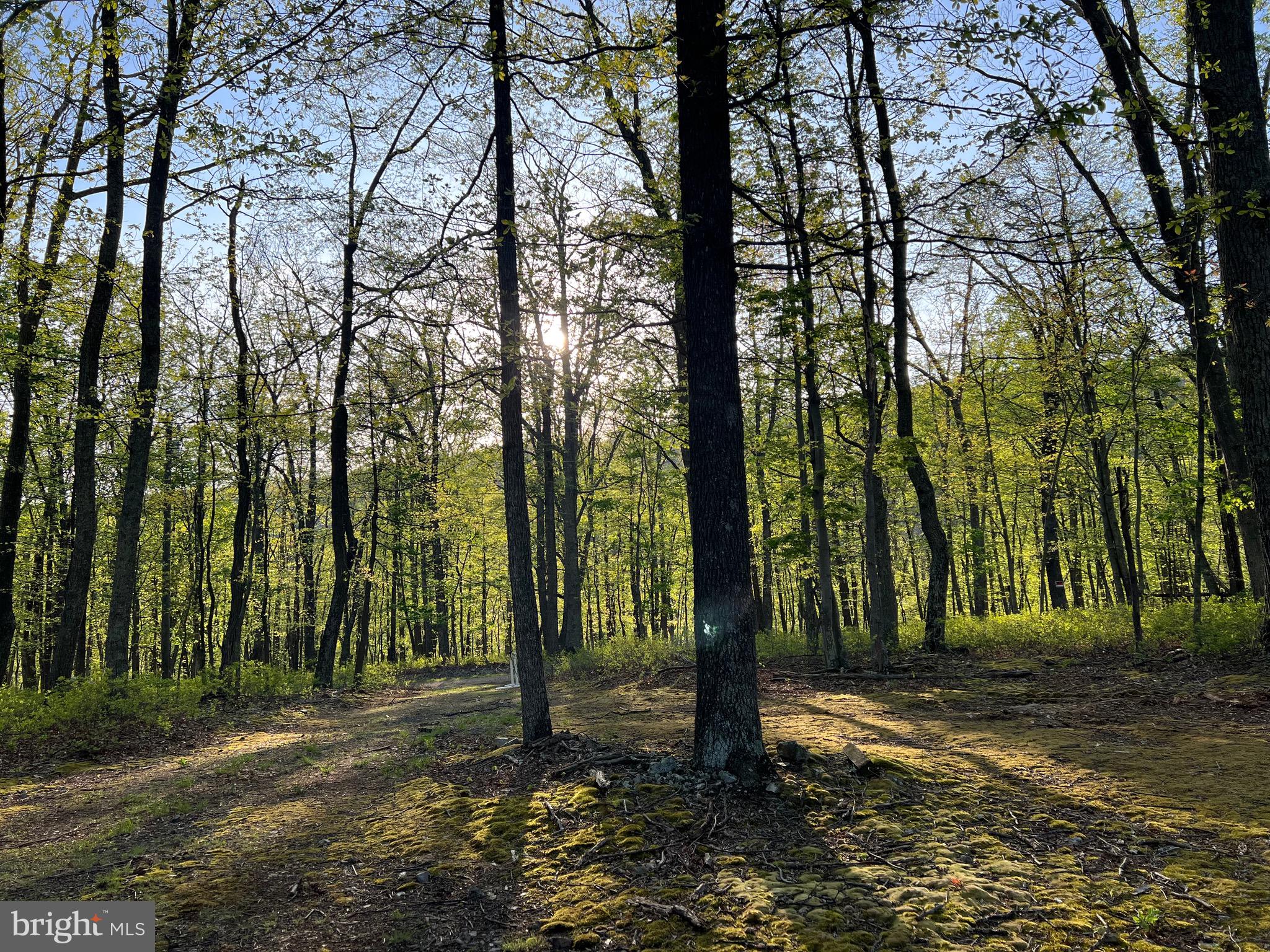 OLD FIELDS LIMITED PARTNERSHIP - Residential