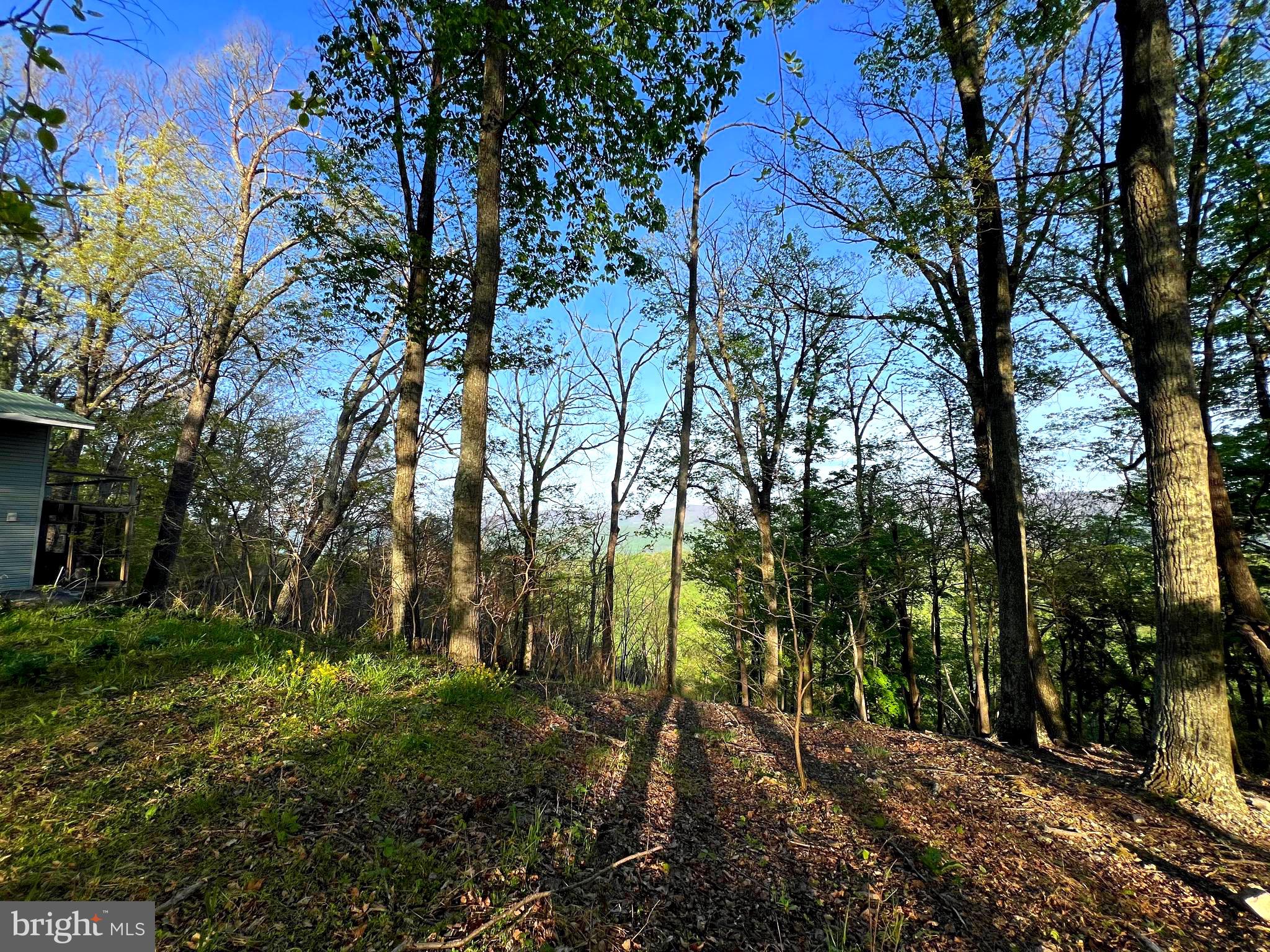 OLD FIELDS LIMITED PARTNERSHIP - Residential