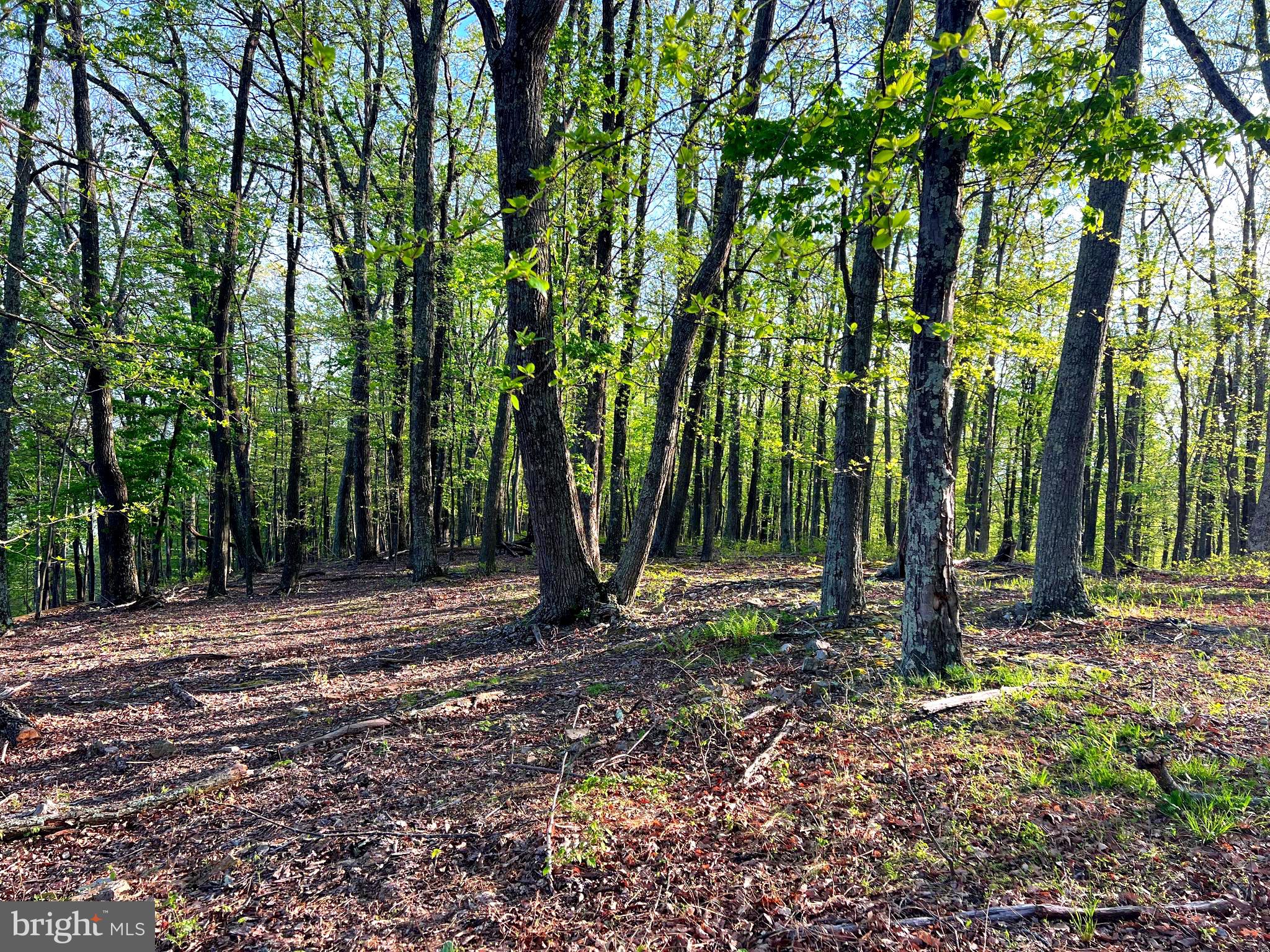 OLD FIELDS LIMITED PARTNERSHIP - Residential