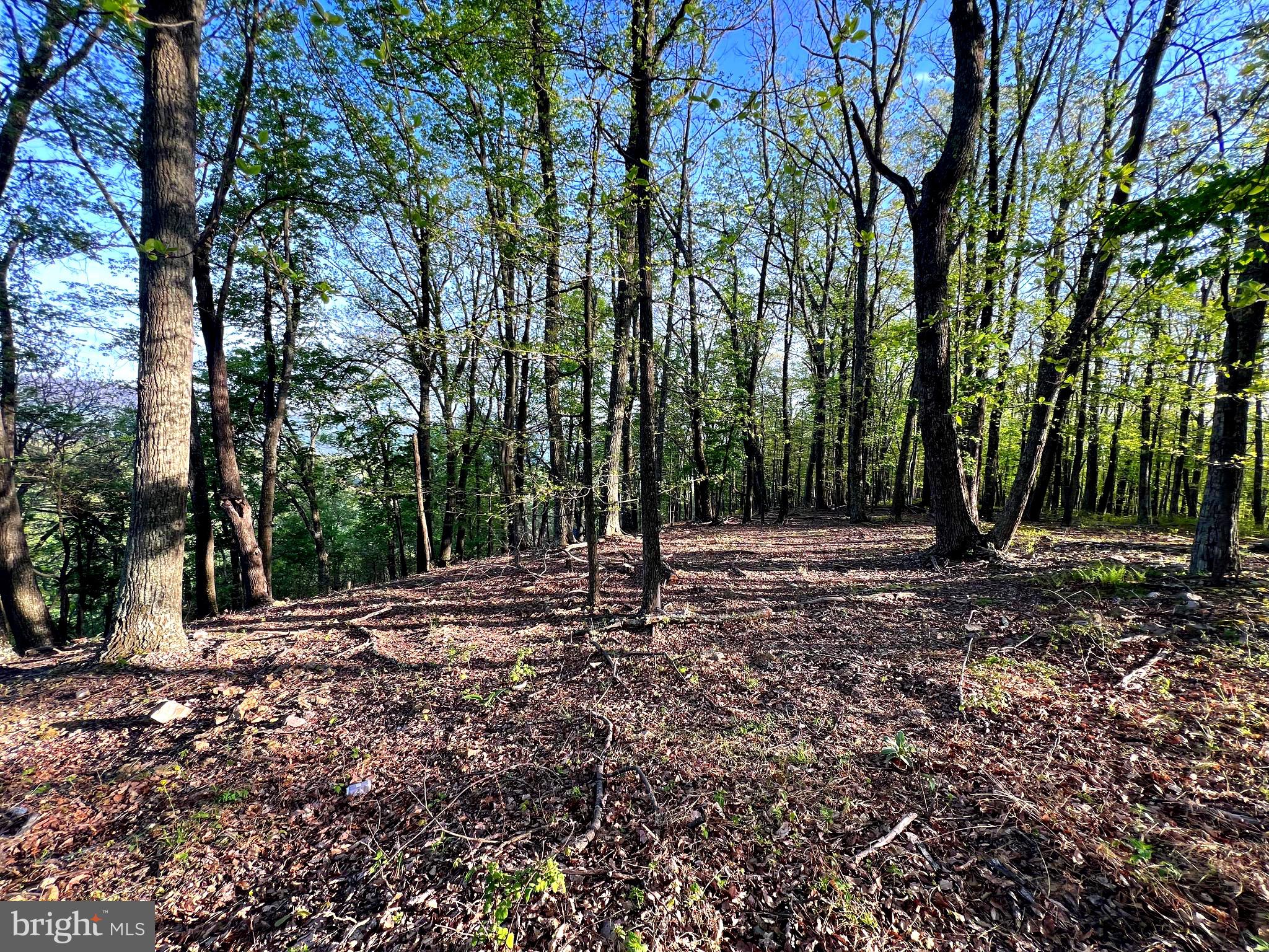 OLD FIELDS LIMITED PARTNERSHIP - Residential