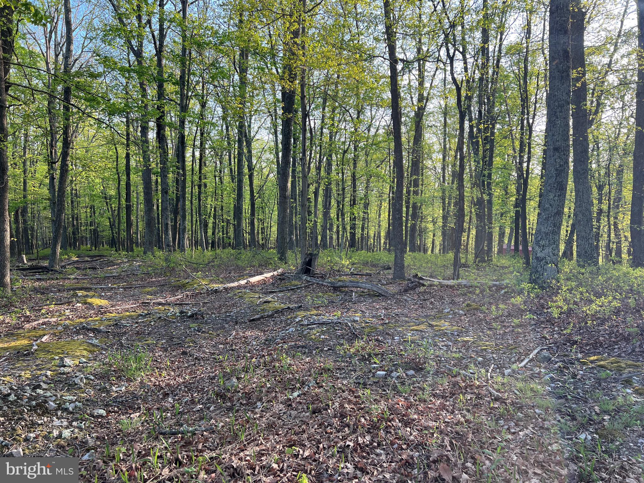 OLD FIELDS LIMITED PARTNERSHIP - Residential