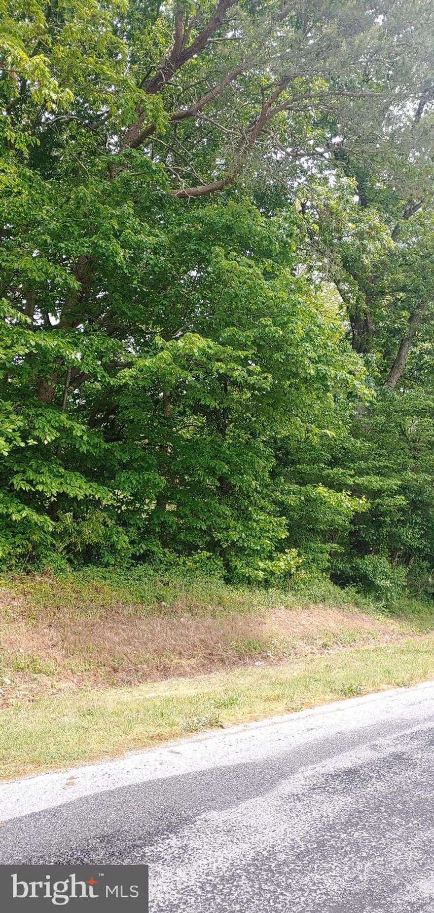Nice treed lot nestled in a community, just waiting for you to build your dream home.  Public water and sewer are already available for this property.