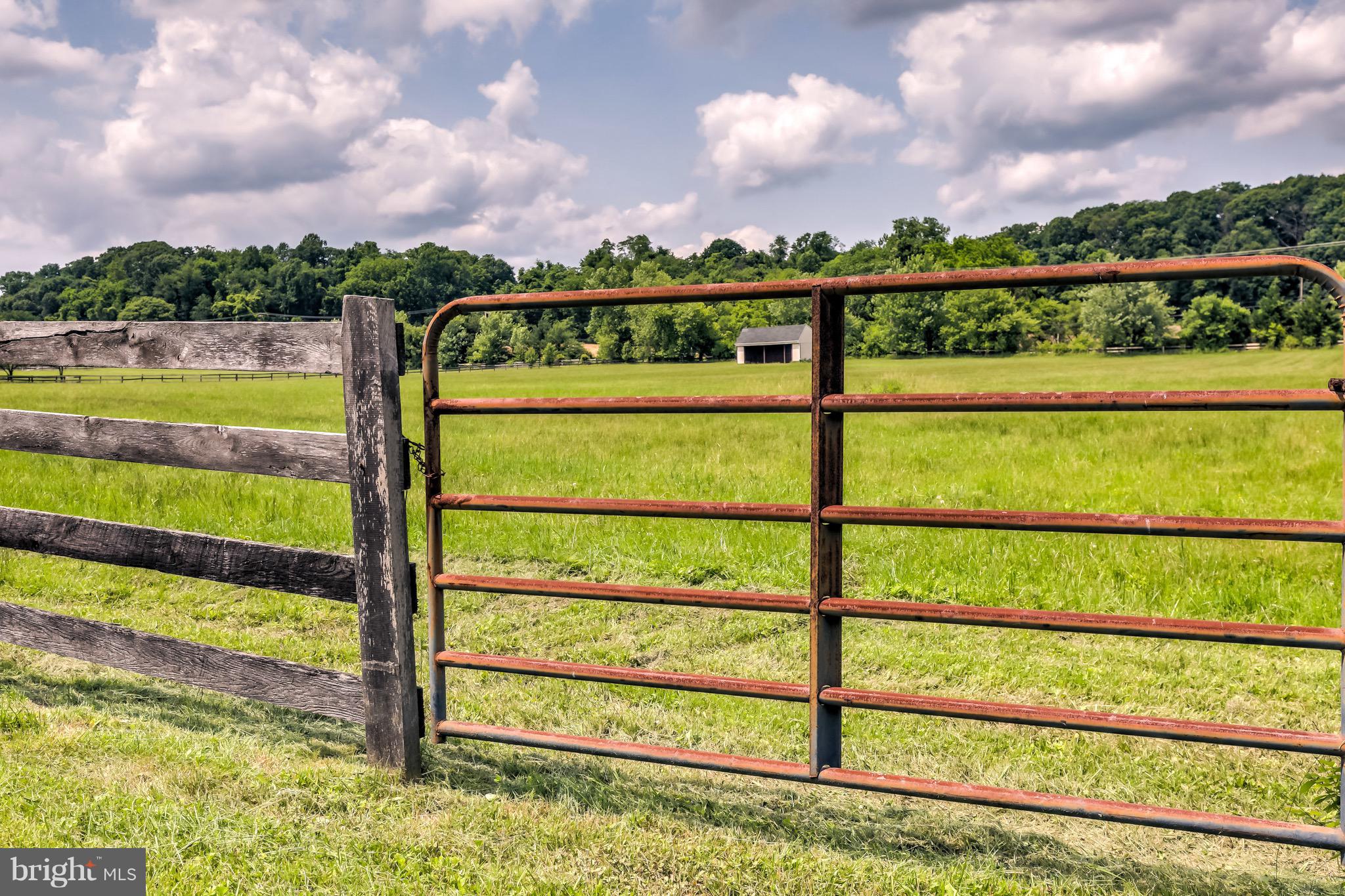 BELFAST VALLEY - Farm