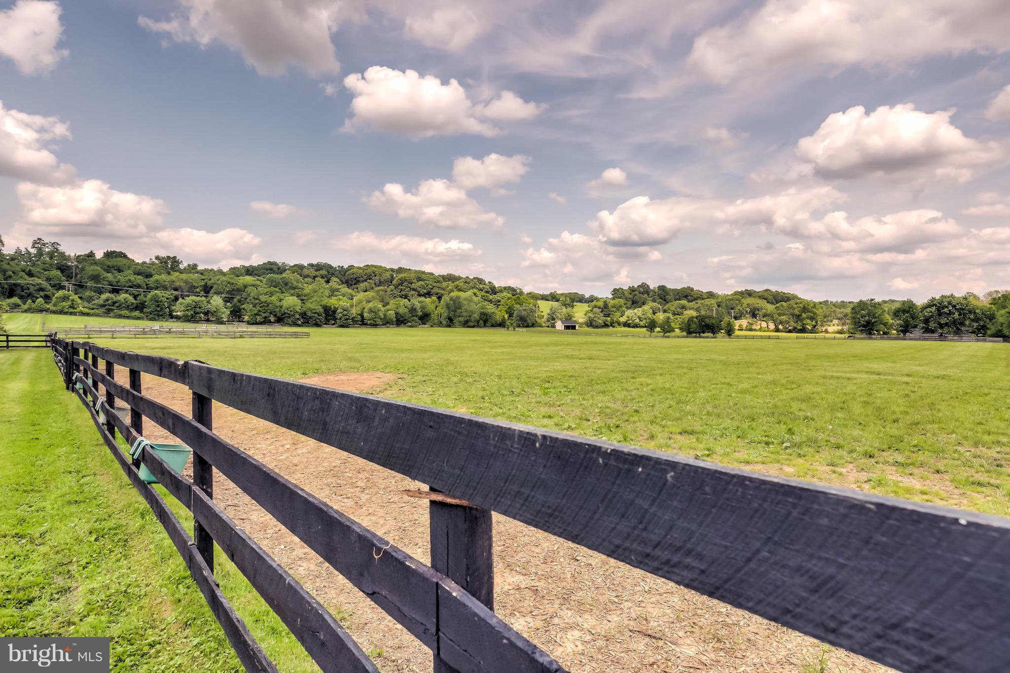 BELFAST VALLEY - Farm