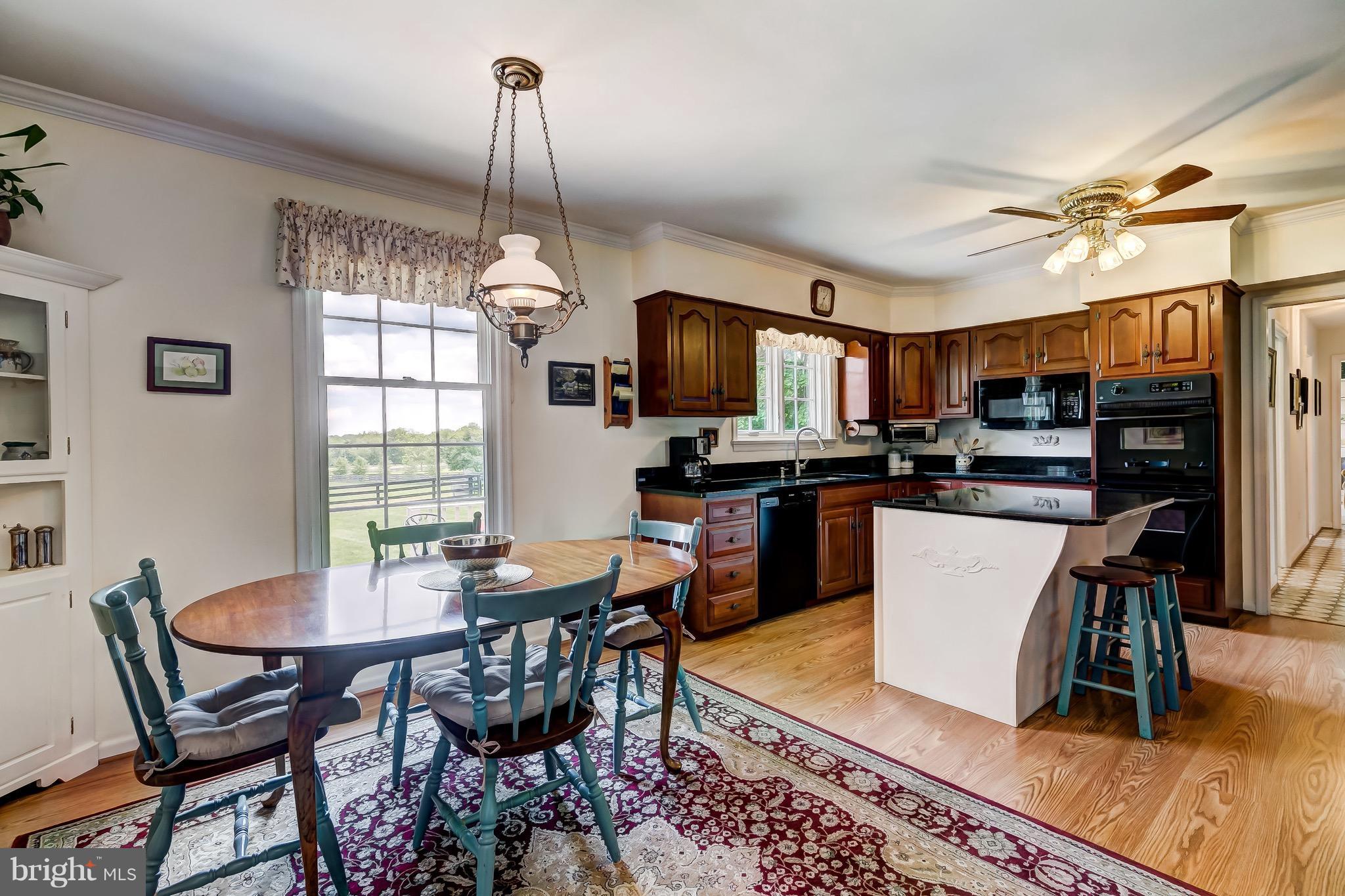 BELFAST VALLEY - Farm