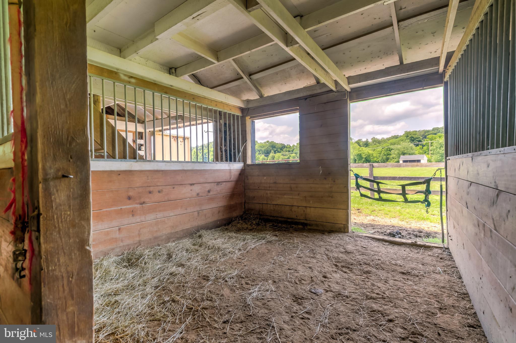 BELFAST VALLEY - Farm