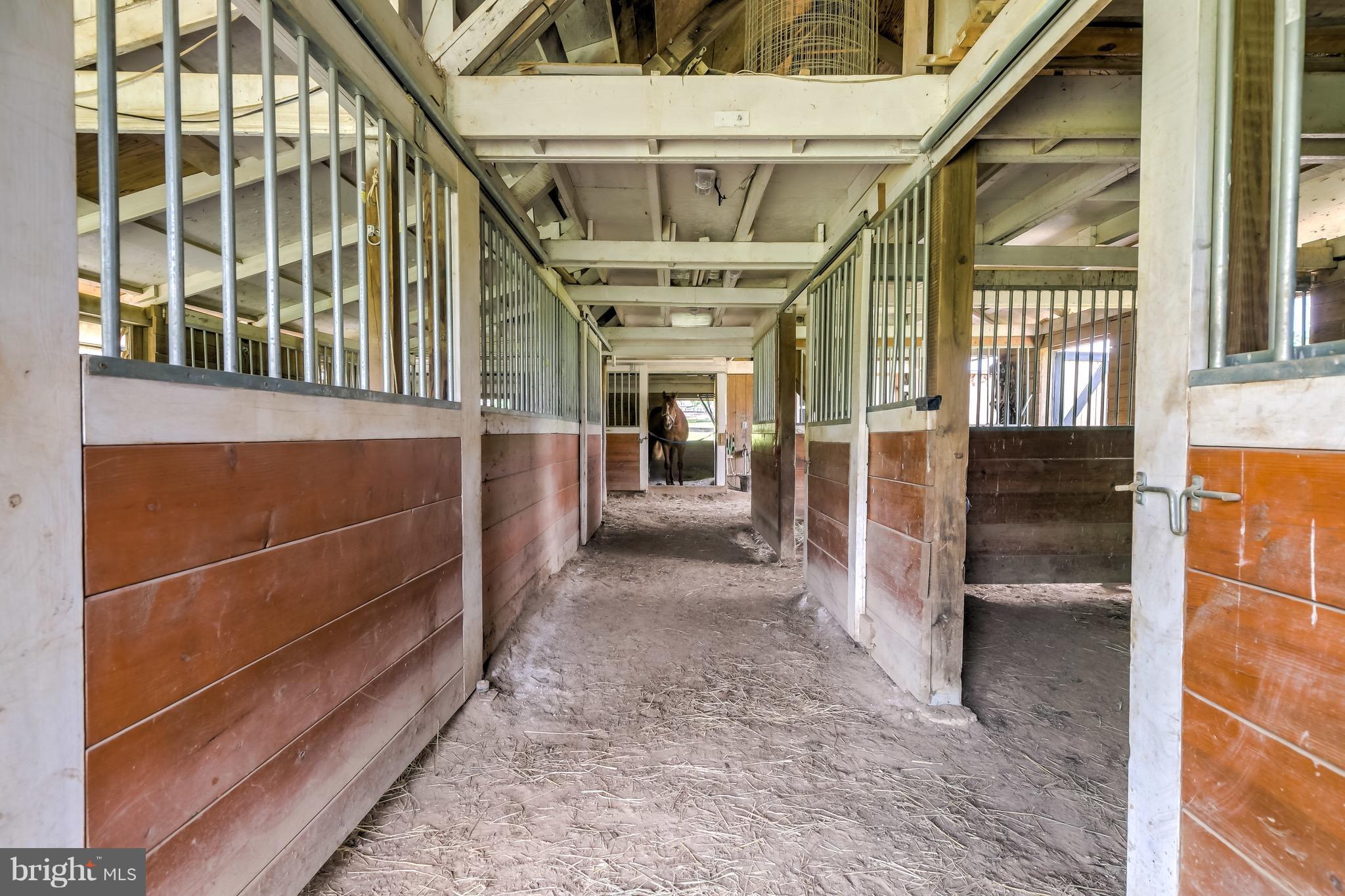 BELFAST VALLEY - Farm