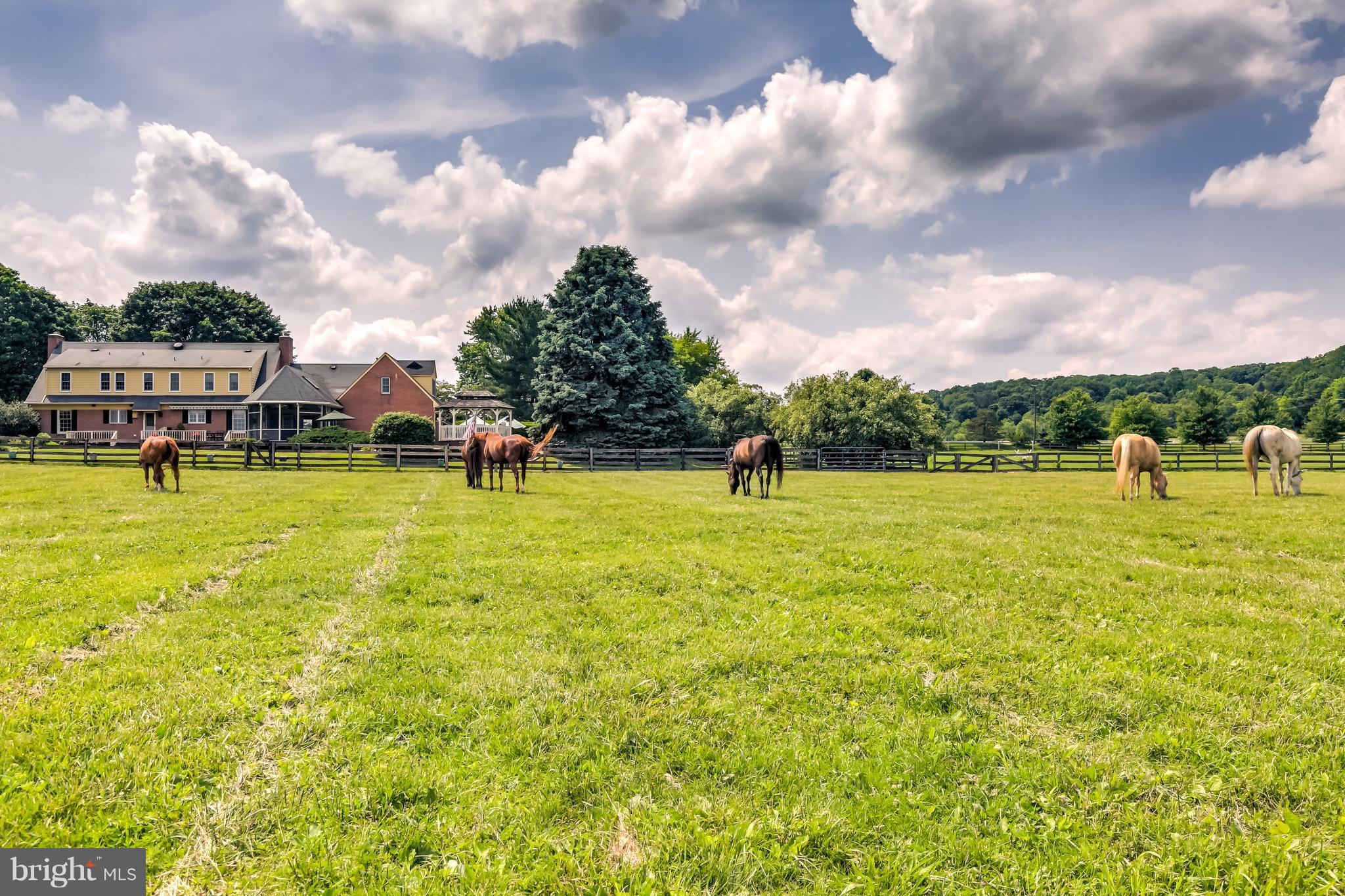 BELFAST VALLEY - Farm