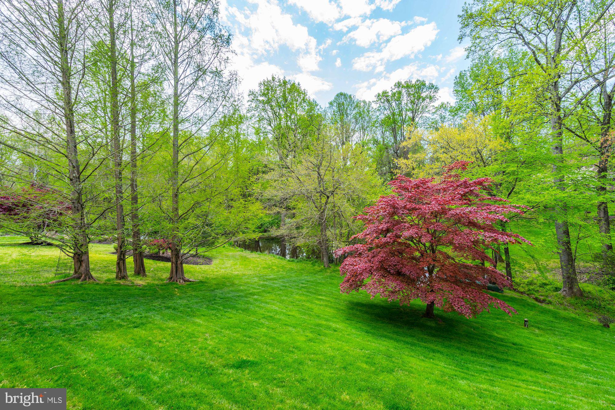 BRYAN POND - Residential