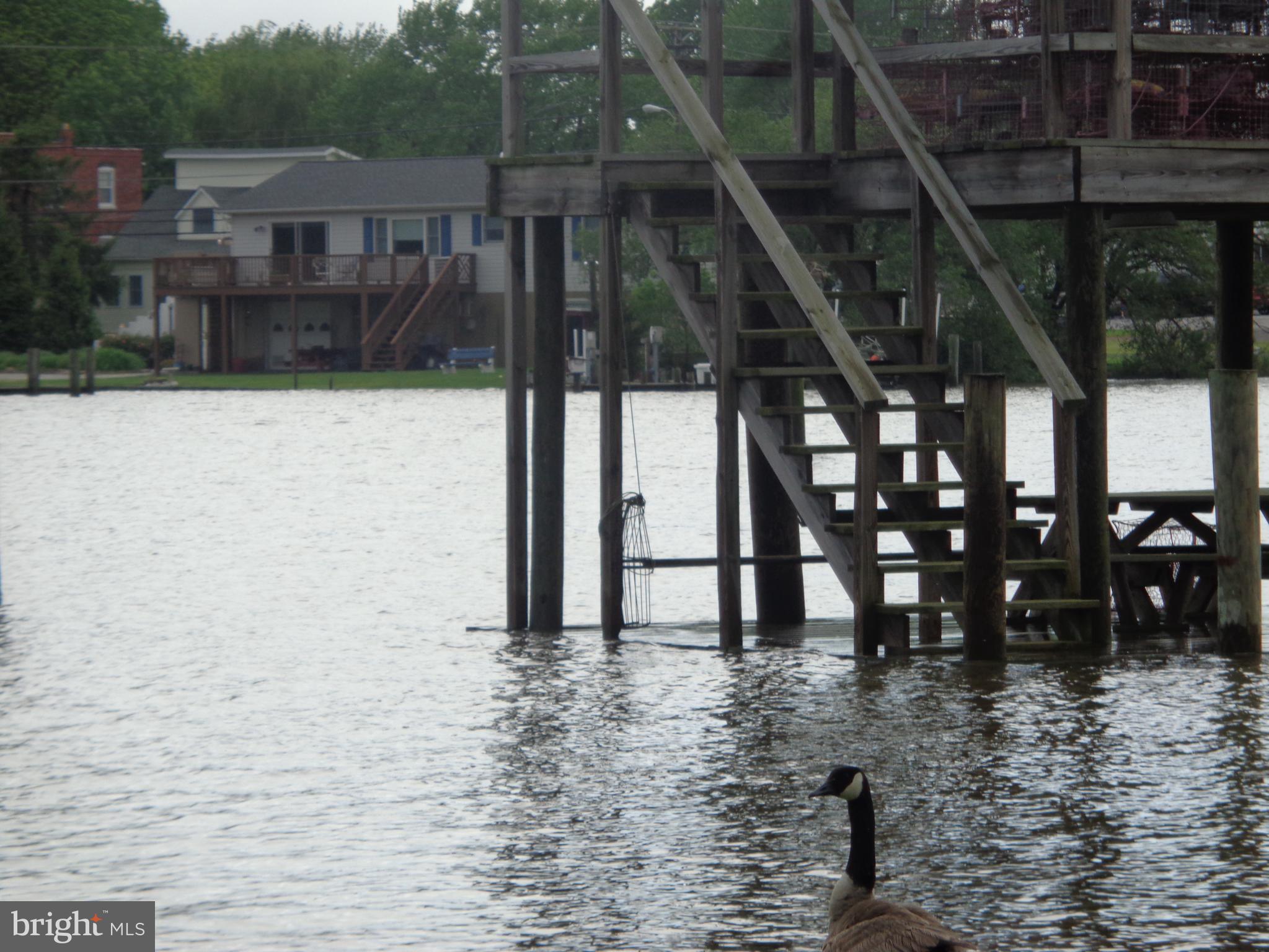 OLEARY - Residential Lease