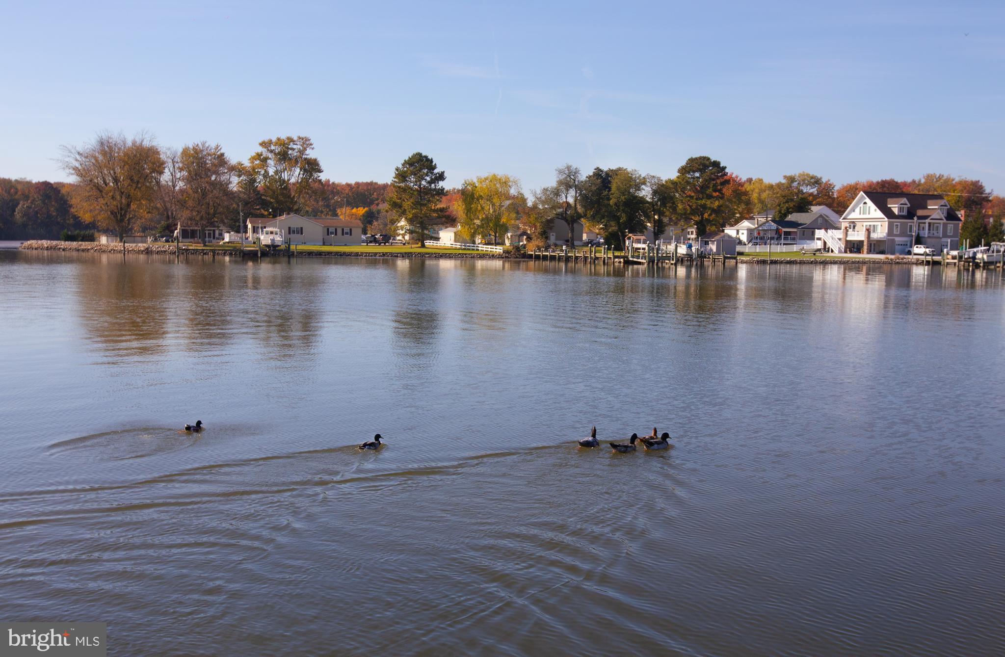 OLEARY - Residential Lease