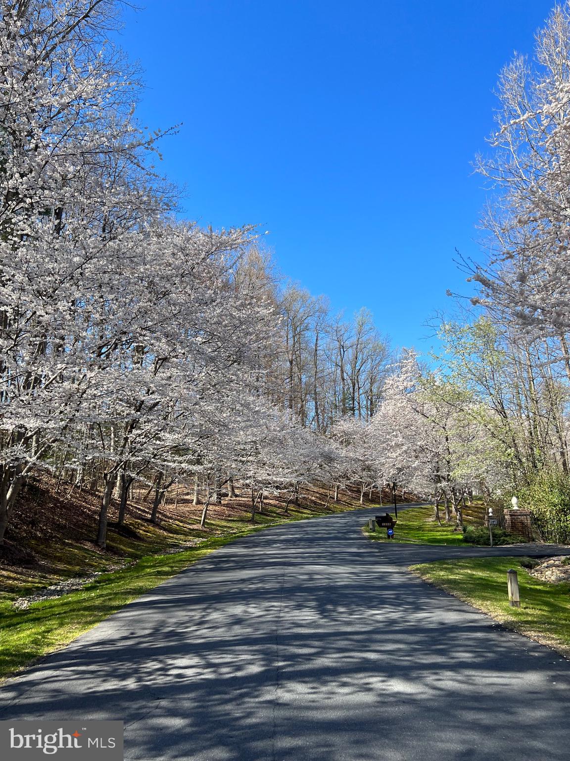 BELVOIR FARMS - Residential
