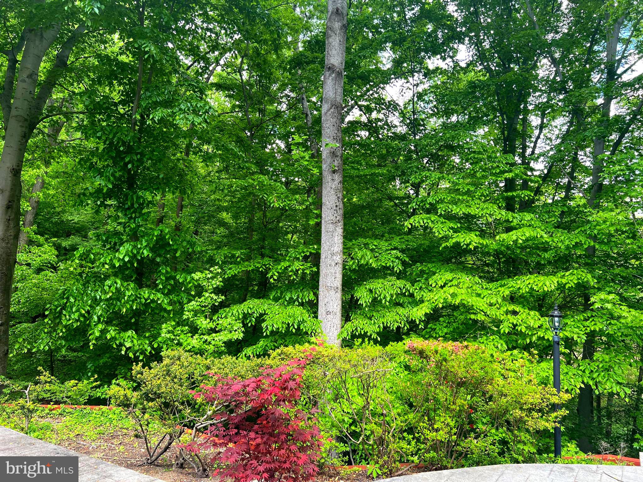 BELVOIR FARMS - Residential