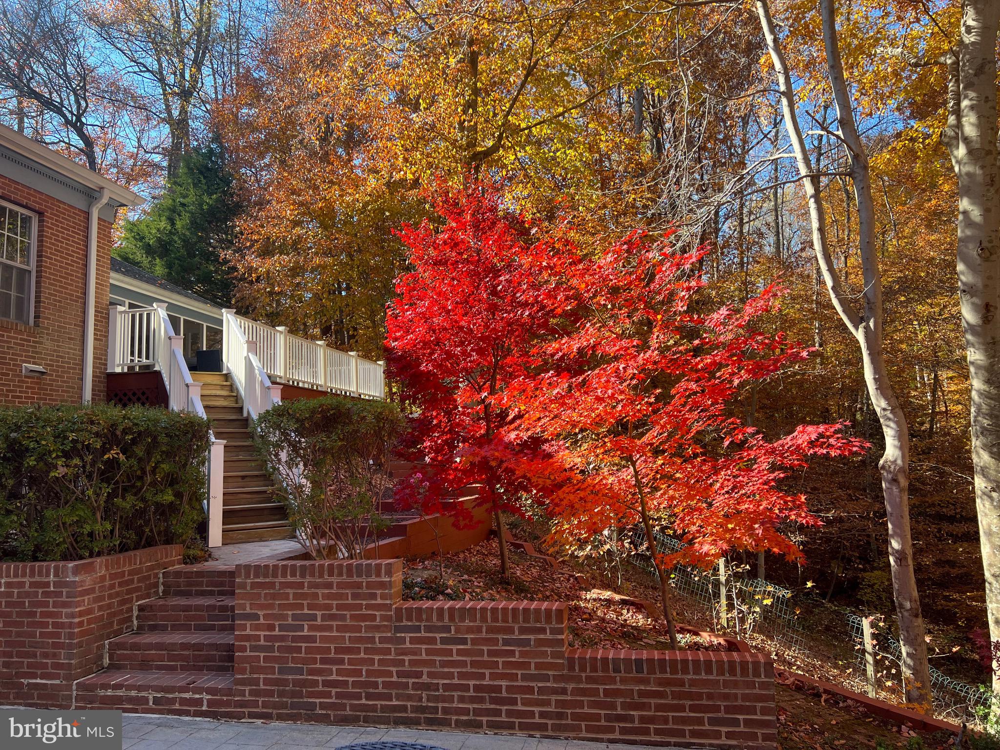 BELVOIR FARMS - Residential