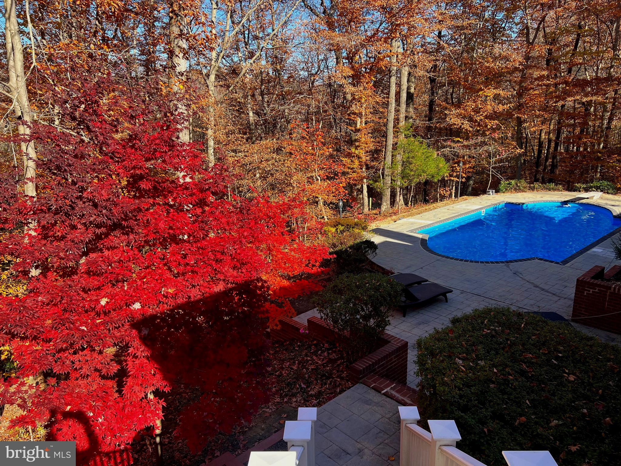 BELVOIR FARMS - Residential