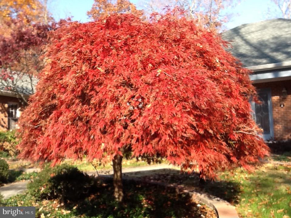 BELVOIR FARMS - Residential