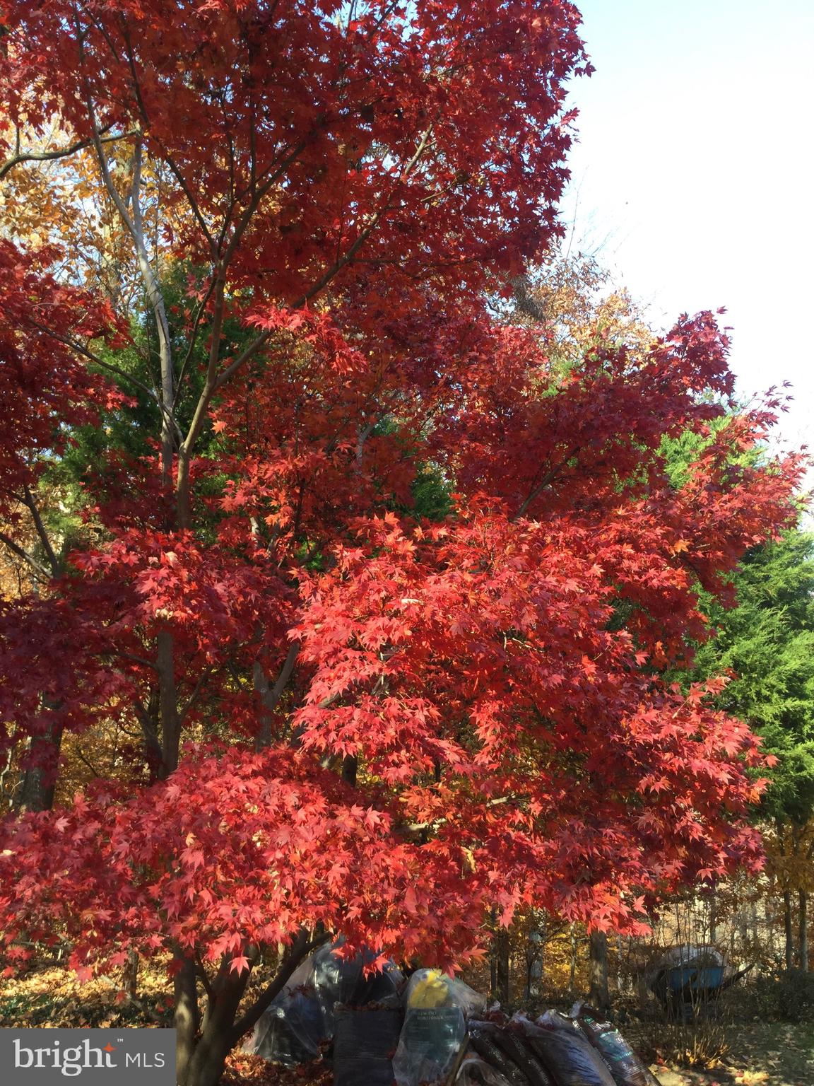 BELVOIR FARMS - Residential