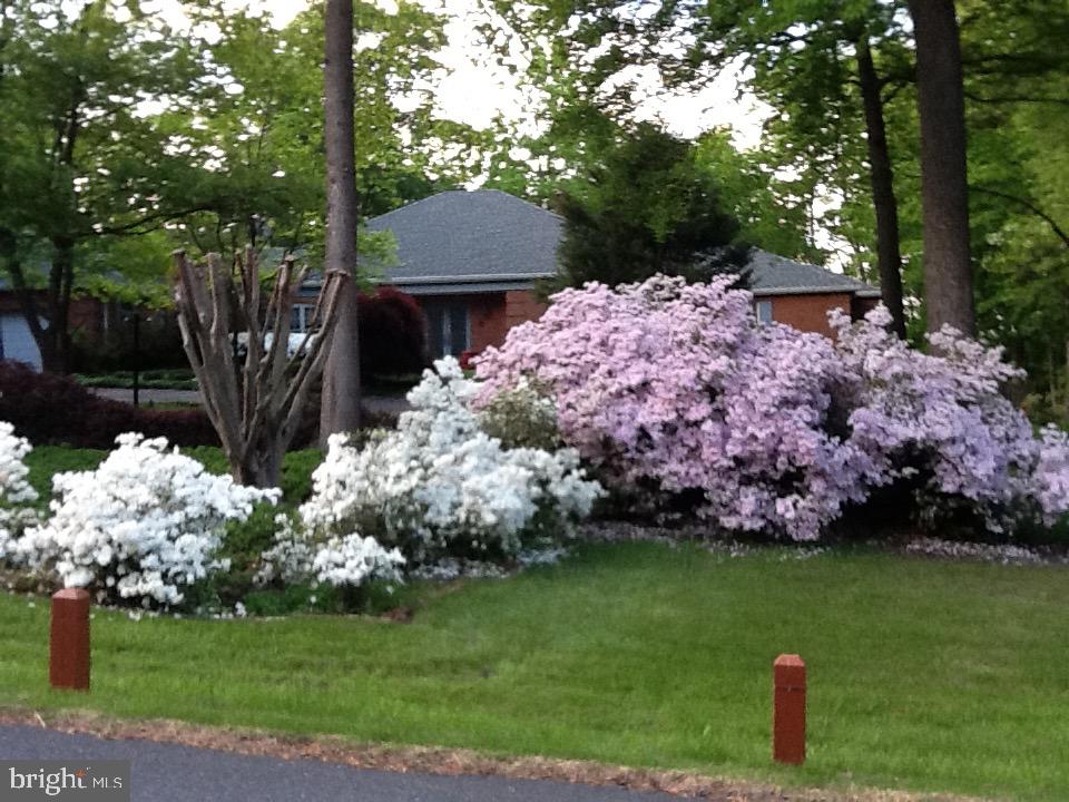 BELVOIR FARMS - Residential