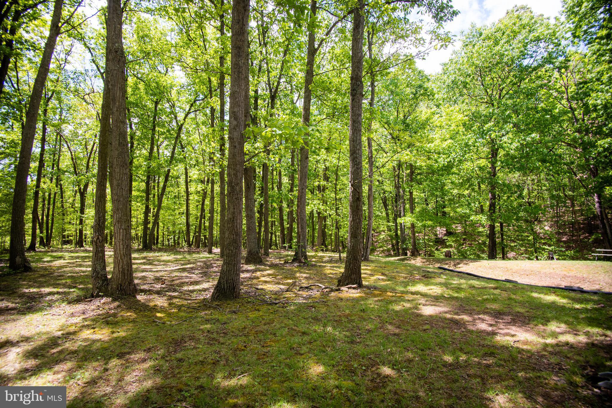 AVALON - Residential