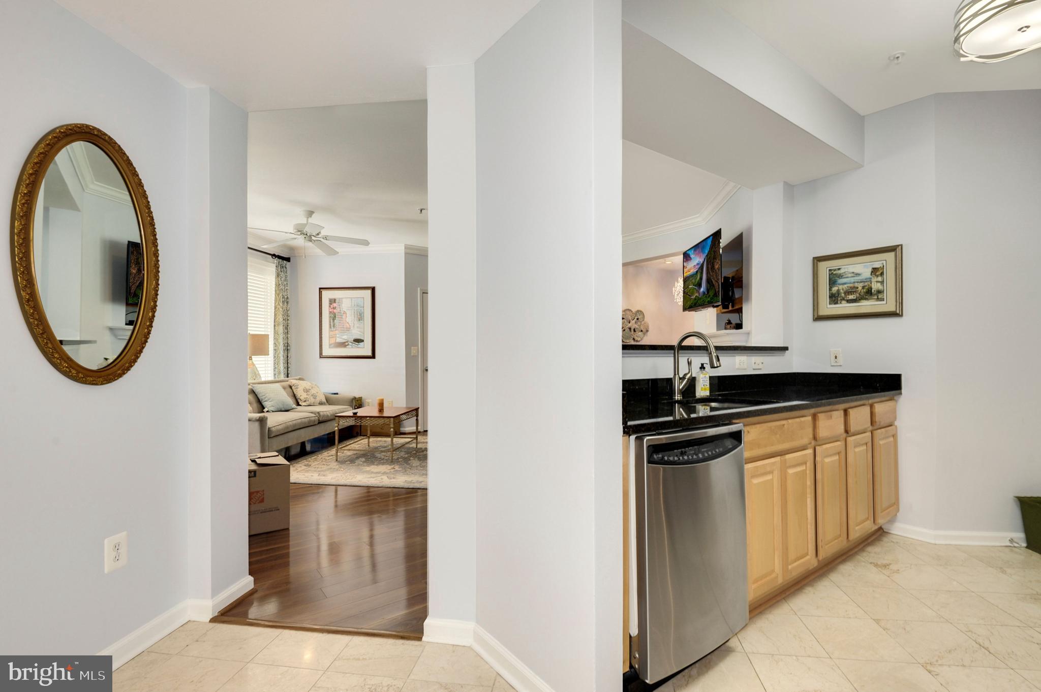 SAVOY AT RESTON TOWN CENTER - Residential