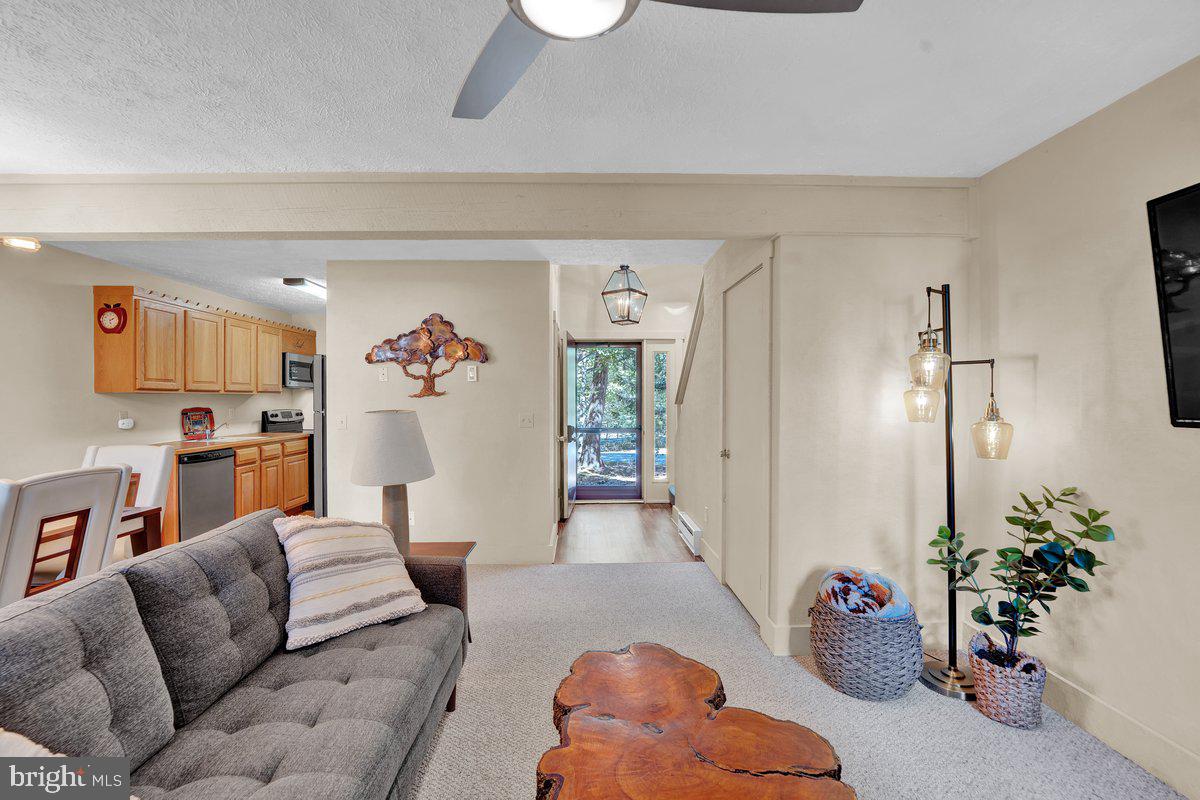 SNOW RIDGE VILLAGE - Residential