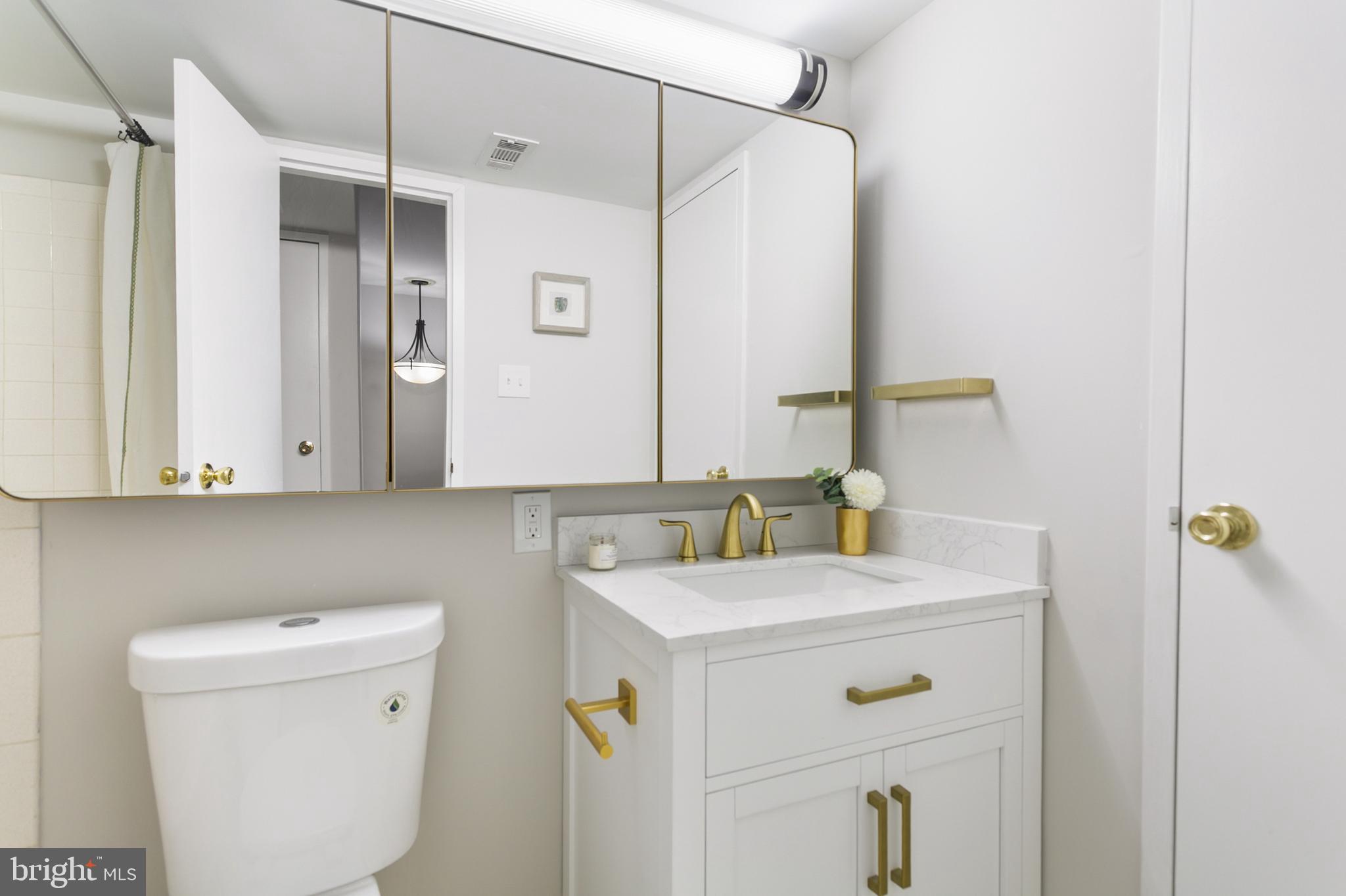 PAINTERS CROSSING - Residential