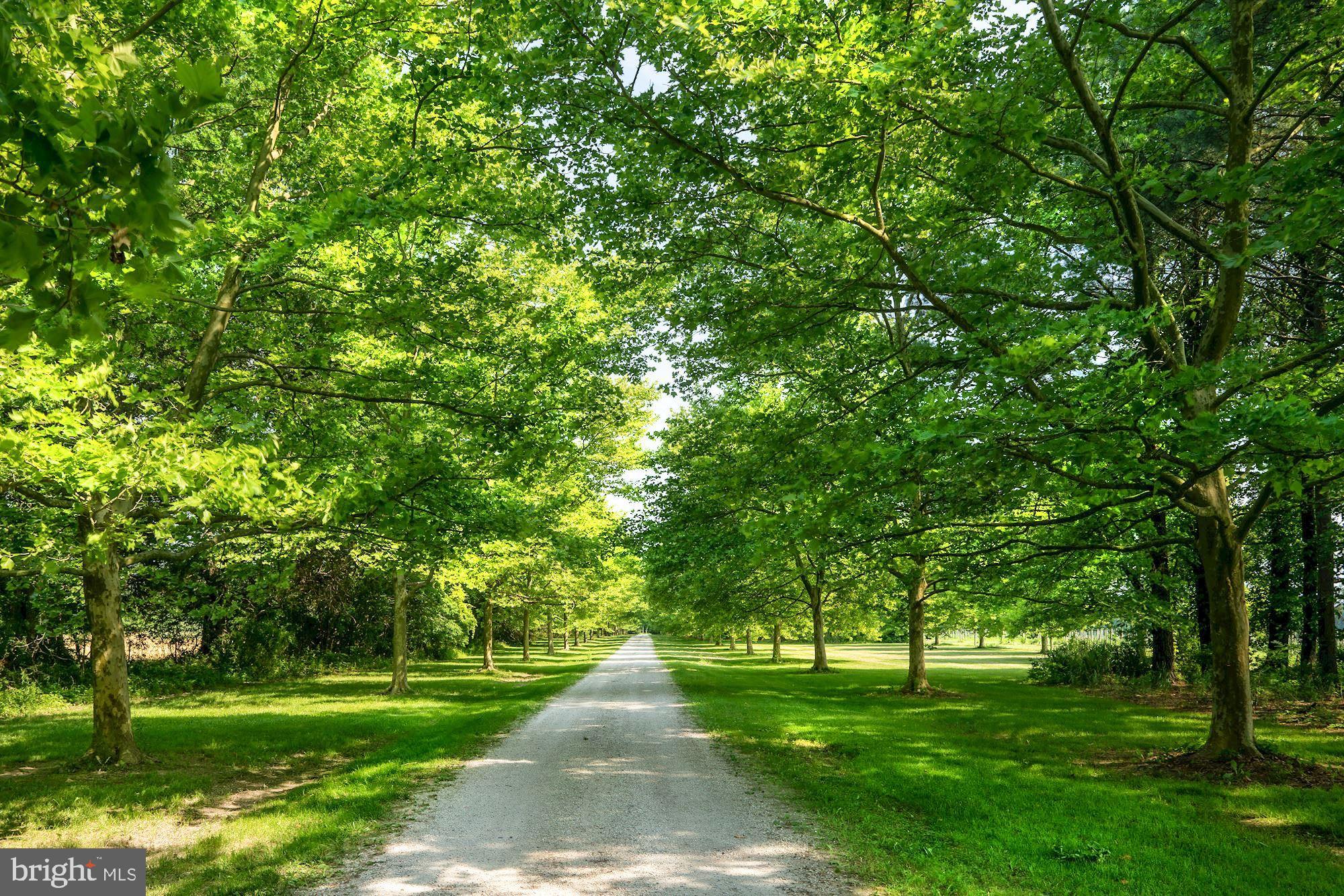 WATERFRONT - Residential