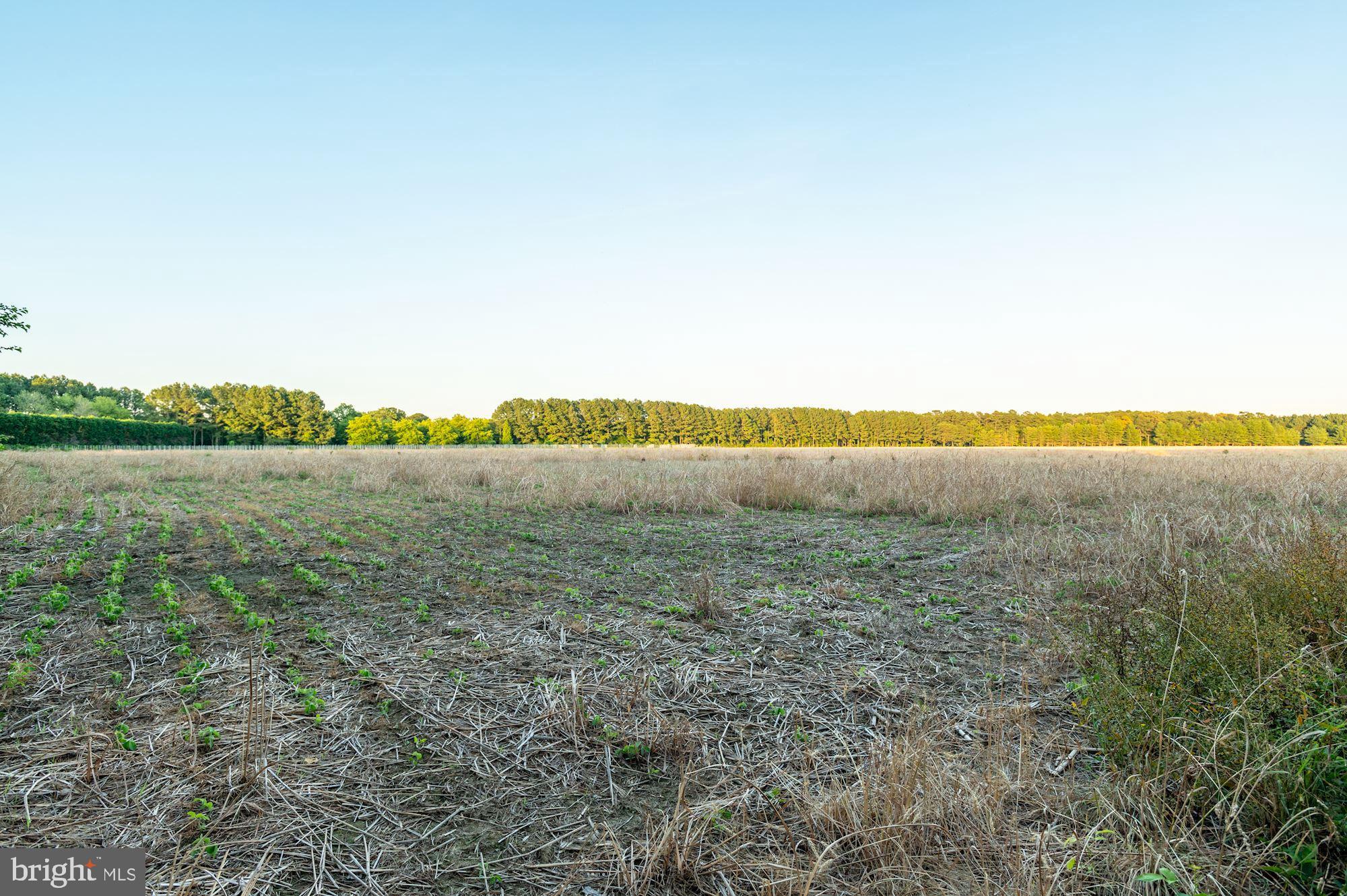 WATERFRONT - Residential