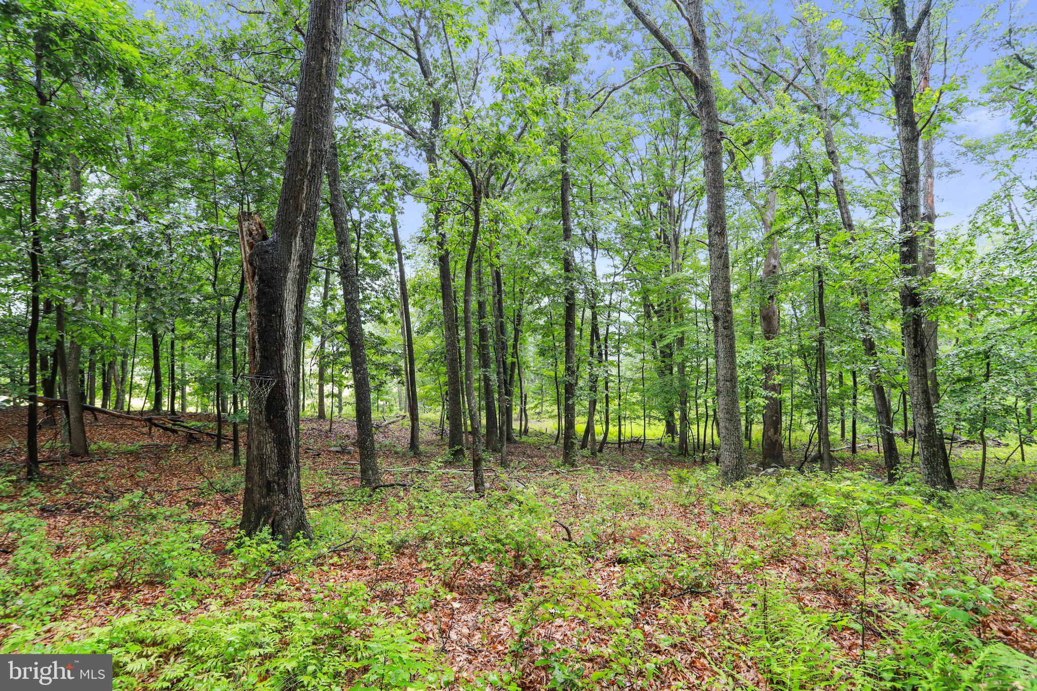 BUFFALO RIDGE RANCHETTES - Residential