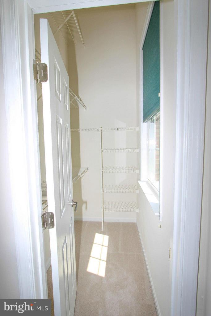 QUANTRELL MEWS - Residential