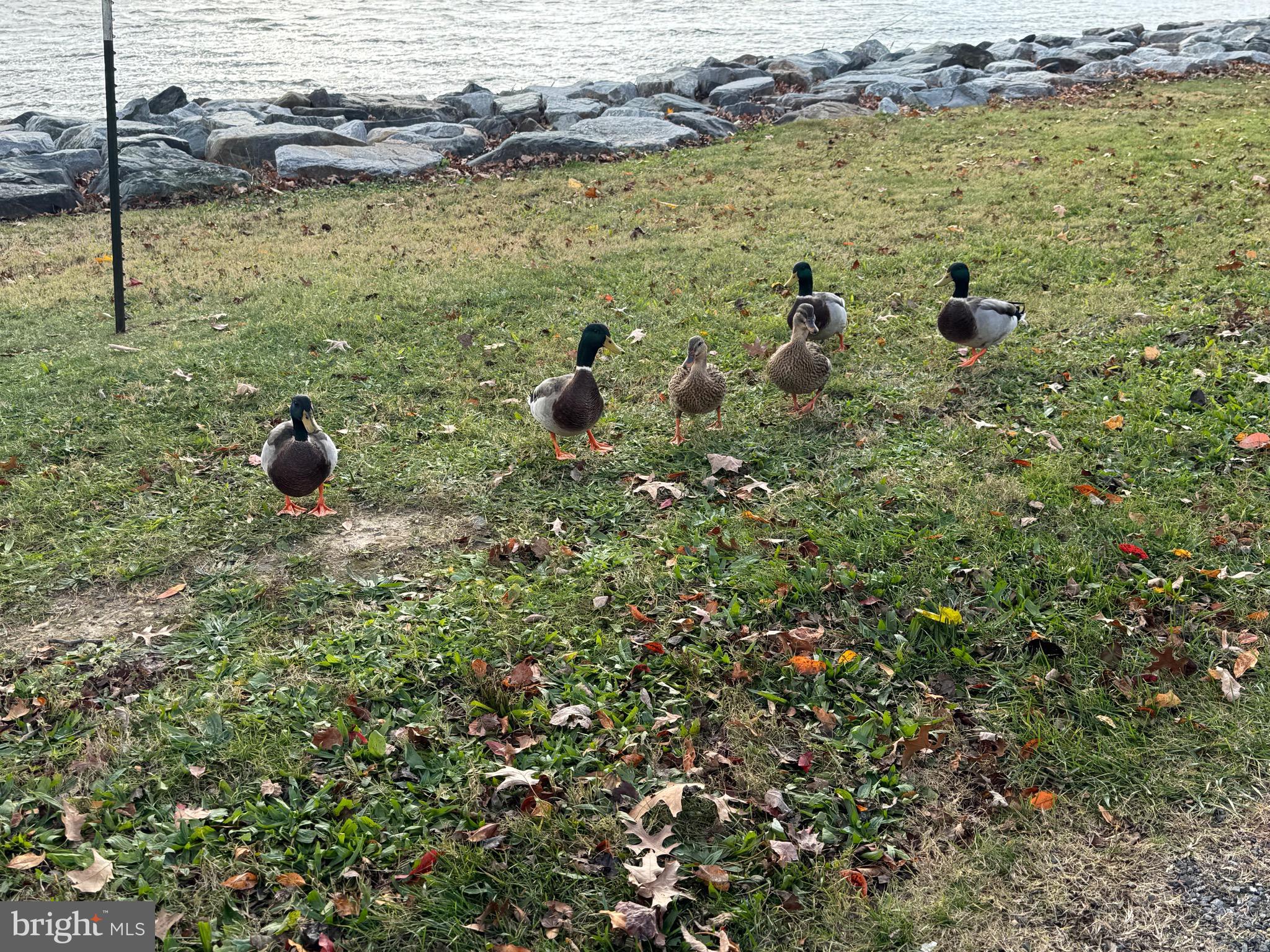 NORTH EAST - Residential