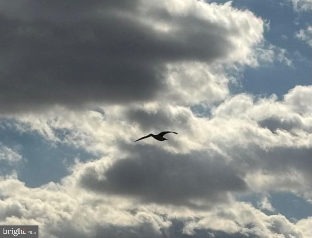 NORTH EAST - Residential