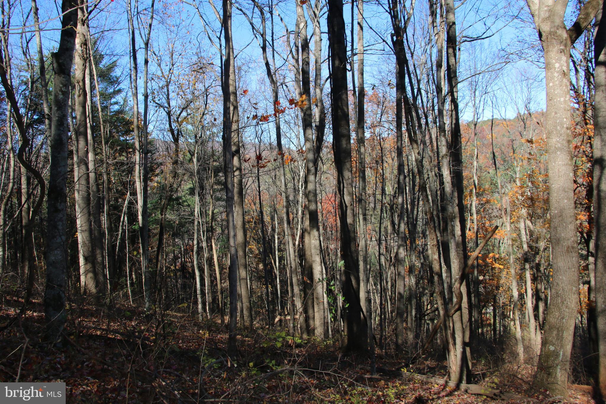 OVERLOOK MOUNTAIN - Land