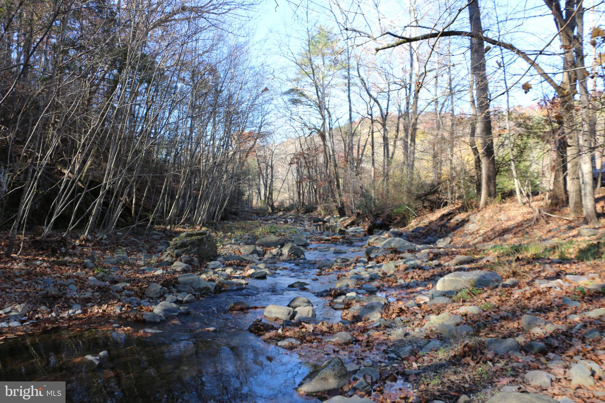 OVERLOOK MOUNTAIN - Land
