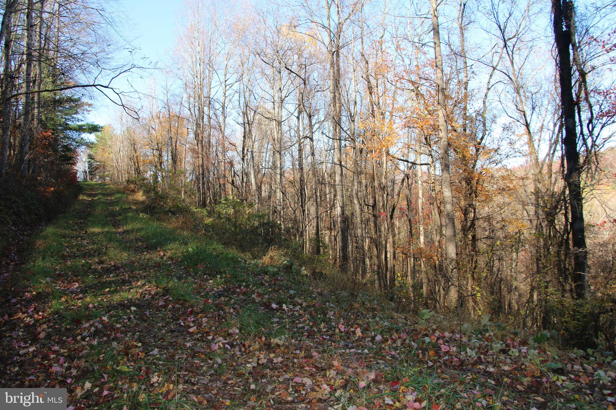 OVERLOOK MOUNTAIN - Land