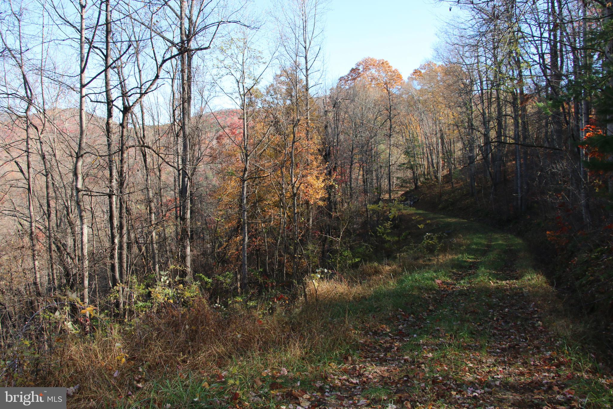 OVERLOOK MOUNTAIN - Land