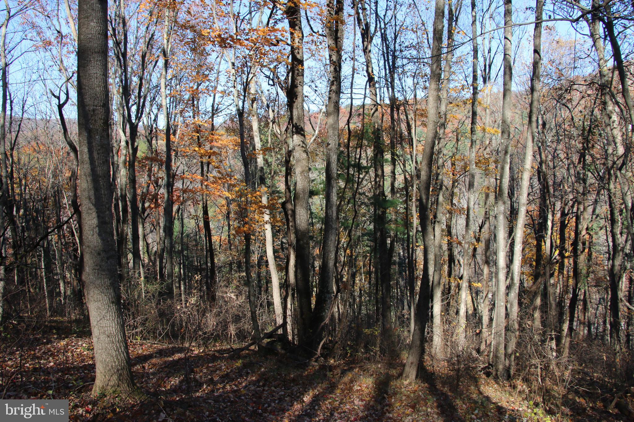 OVERLOOK MOUNTAIN ROAD